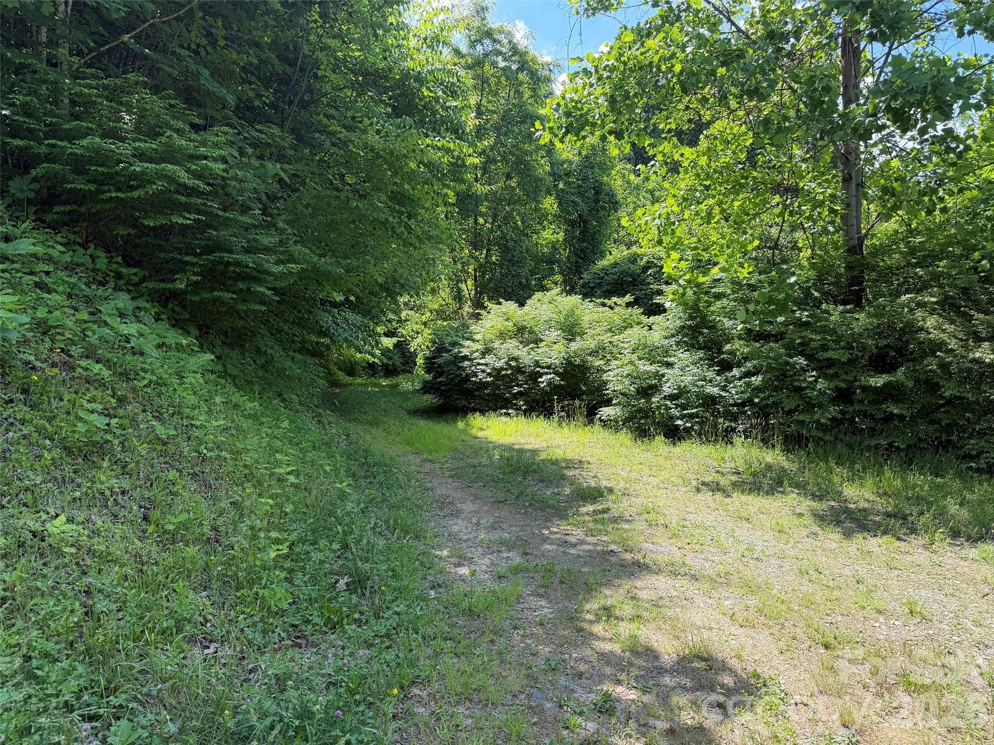 Lot at Waynesville, photo 9 of 12