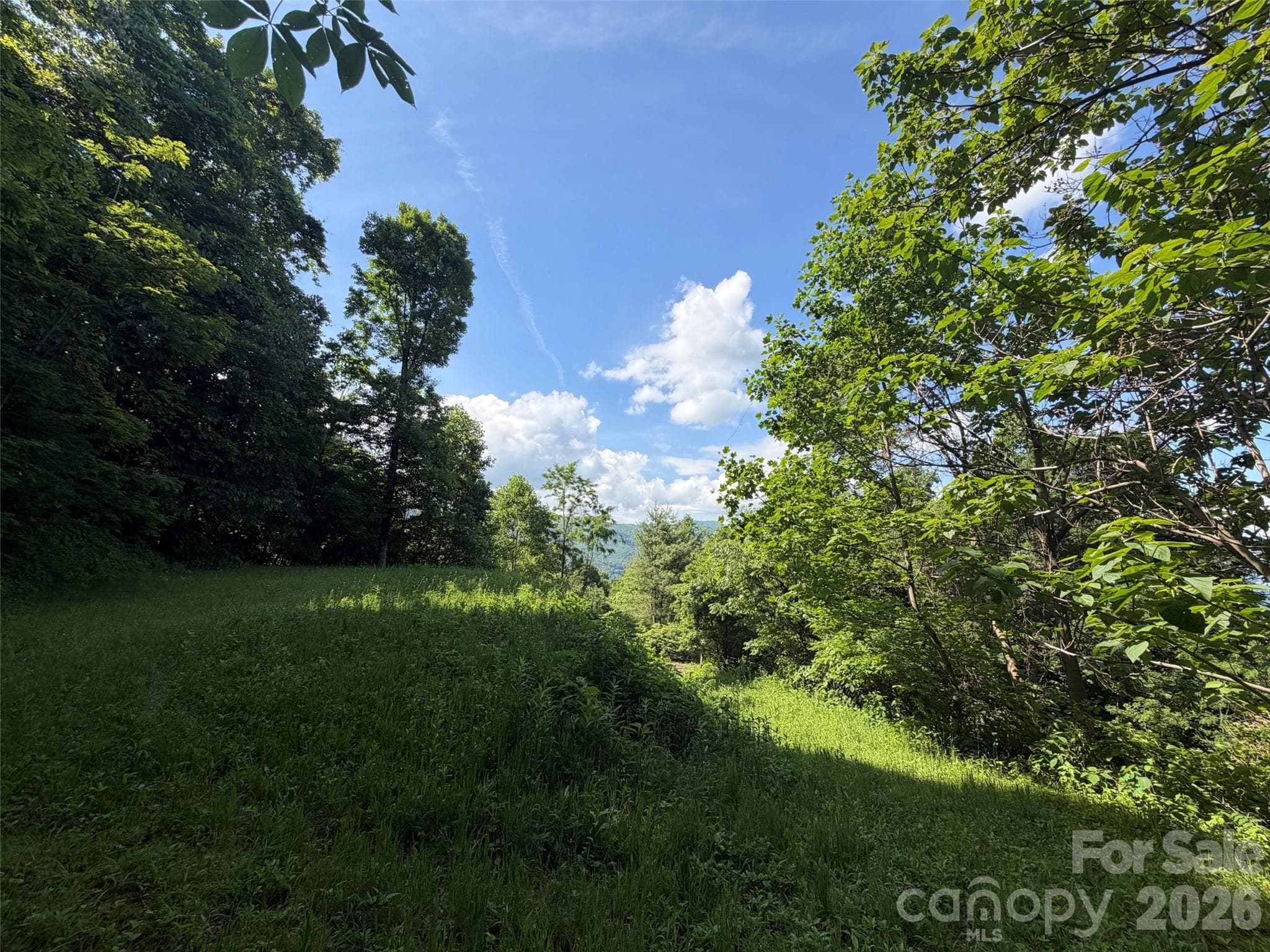 Lot at Waynesville, photo 11 of 12