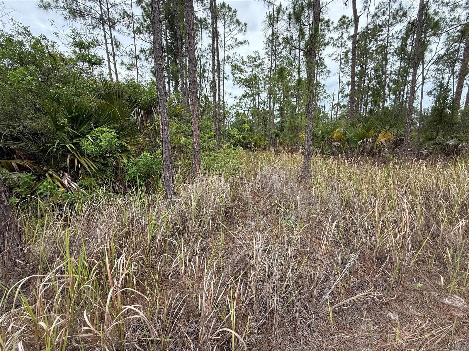 Land at 1106 W 13TH ST, LEHIGH ACRES, photo 4 of 5