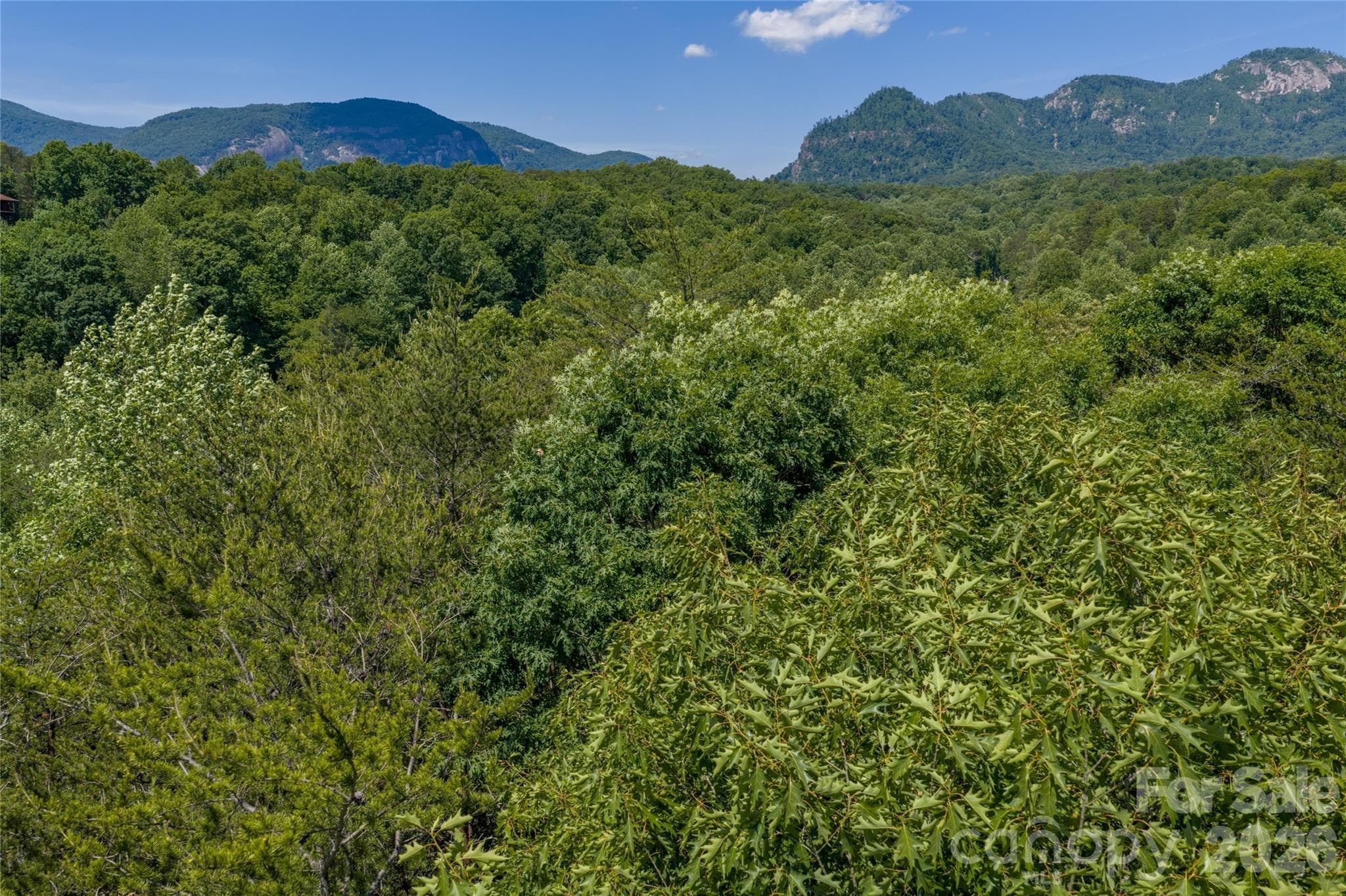 Aerial View - Lake Lure