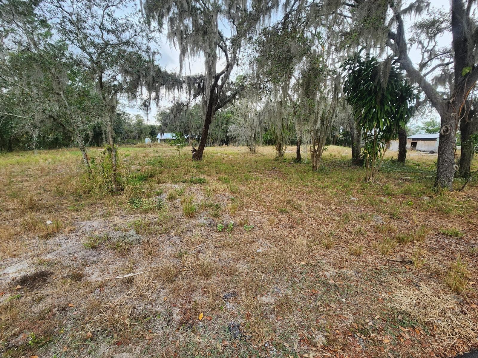 Land at 1409 WILKINSON DR, PLANT CITY, photo 8 of 11
