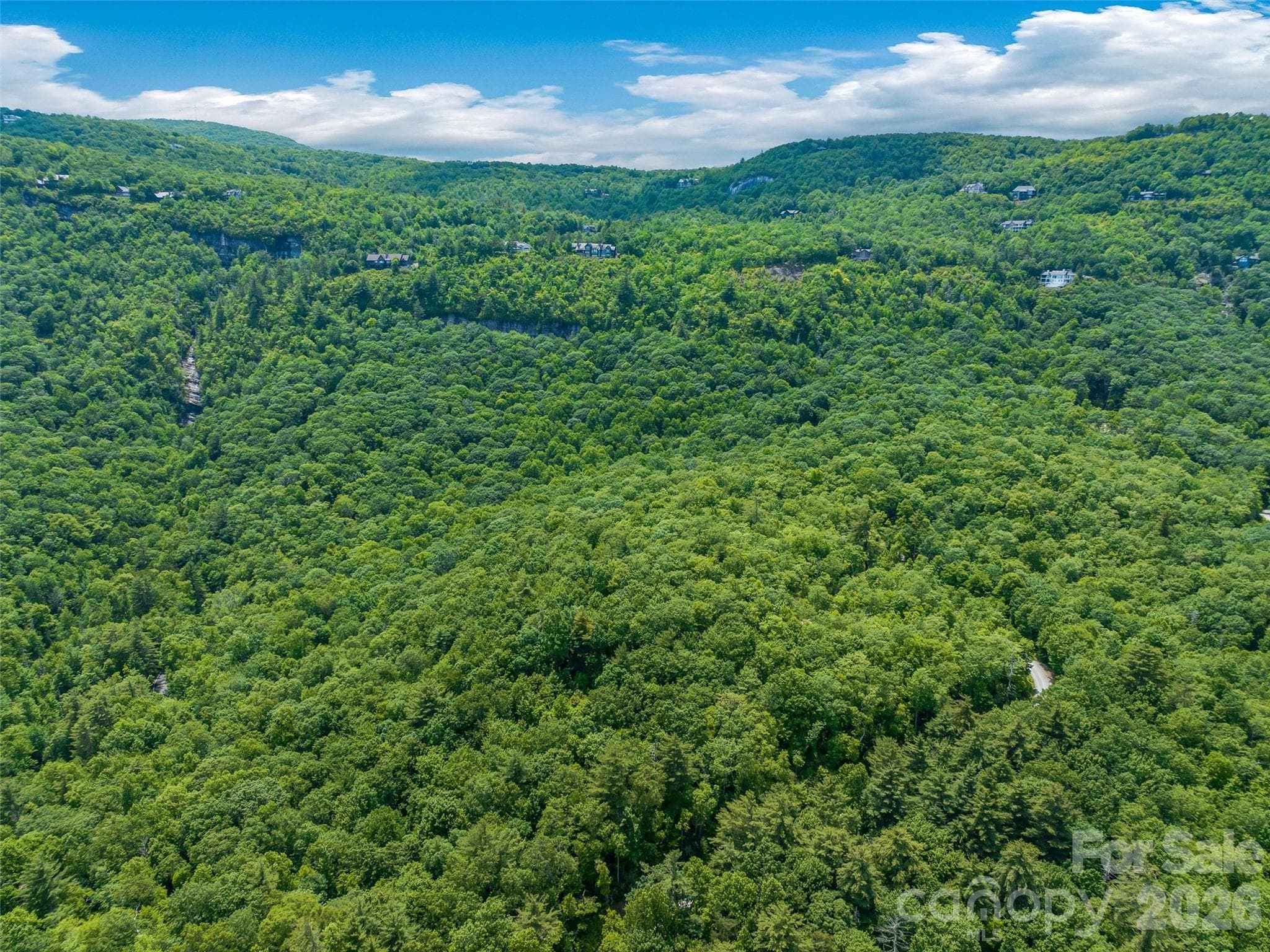 Lot at Lake Toxaway, photo 4 of 25