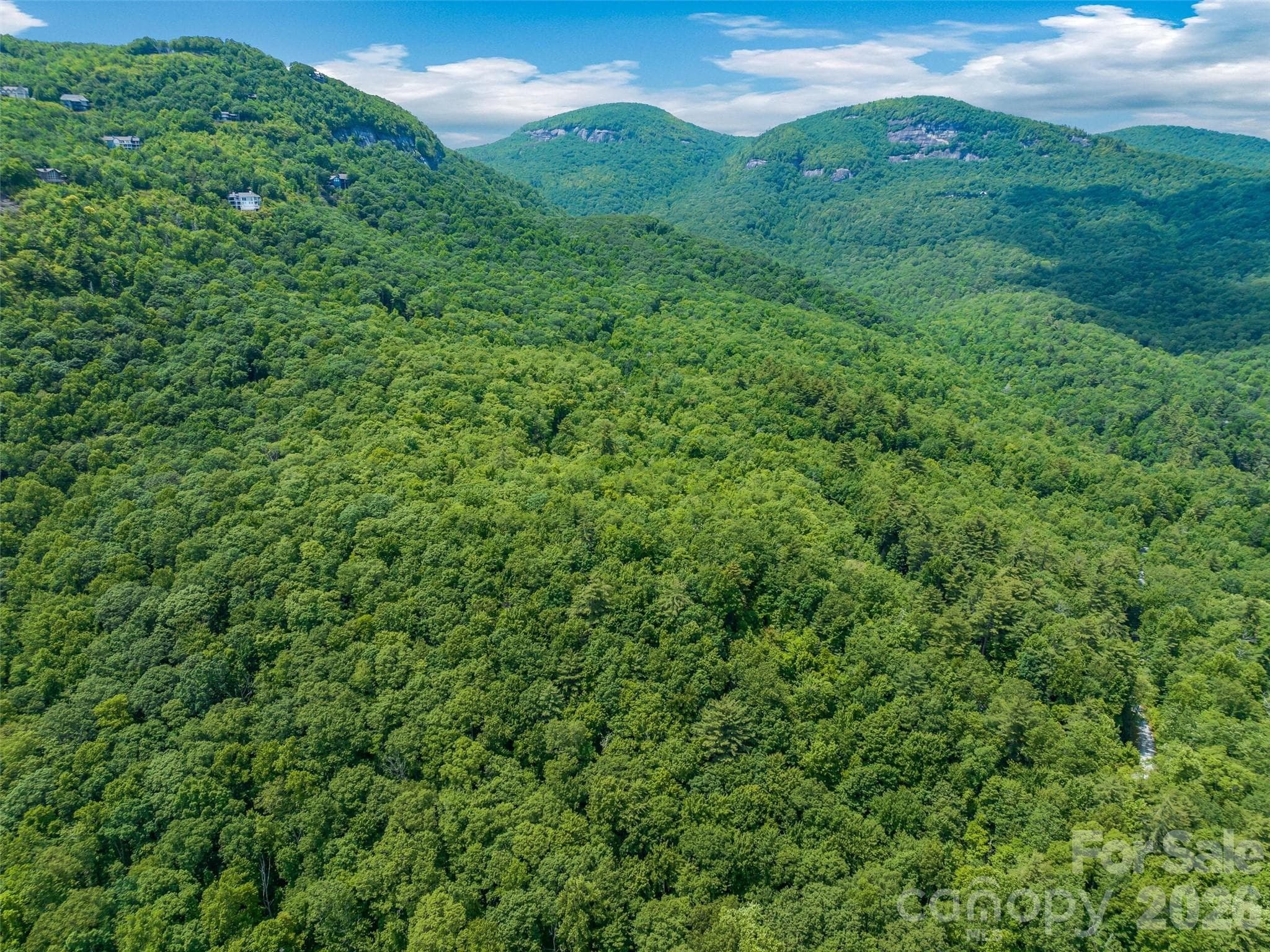 Lot at Lake Toxaway, photo 5 of 25