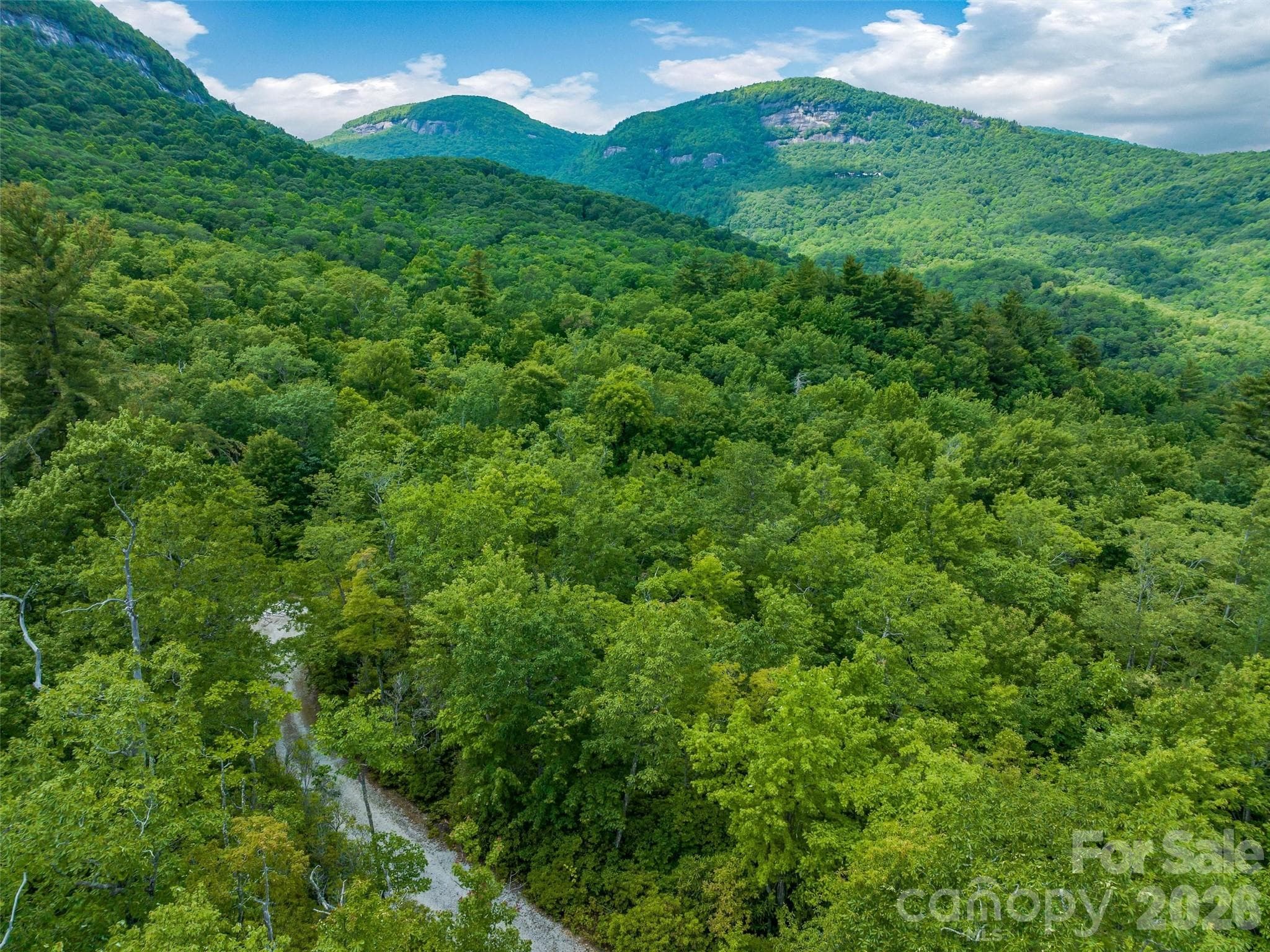 Lot at Lake Toxaway, photo 11 of 25