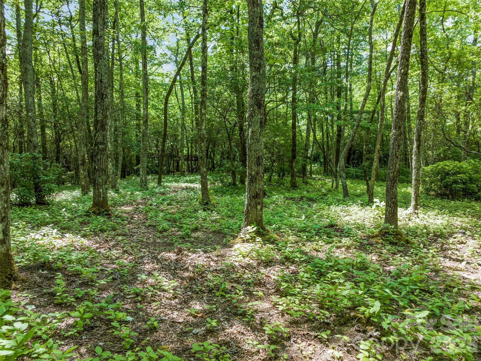 building lot - Lake Toxaway