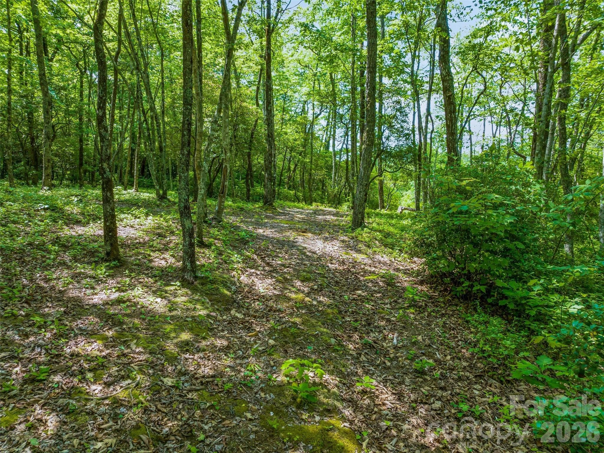 build site - Lake Toxaway