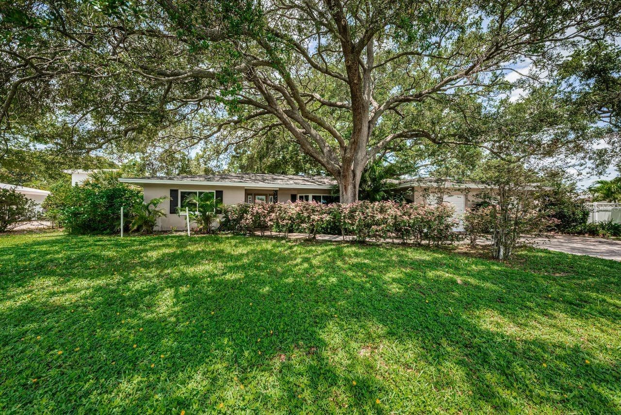 Front of house faces East - 1704 CYPRESS AVE, BELLEAIR