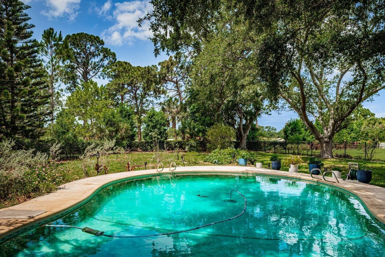 Large pool and deck - 1704 CYPRESS AVE, BELLEAIR