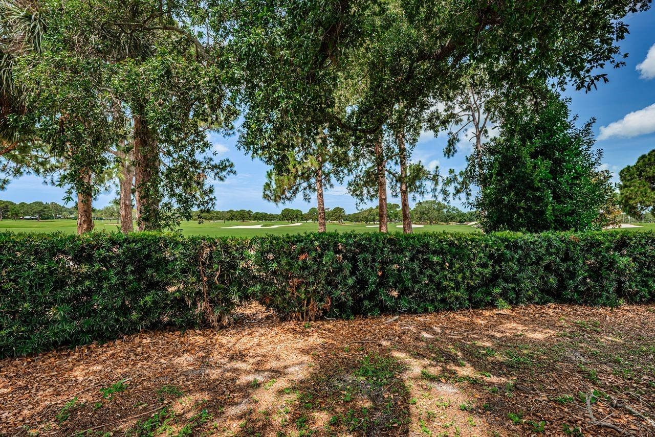 Pelican Golf Club is your backyard on the 17th hole - 1704 CYPRESS AVE, BELLEAIR