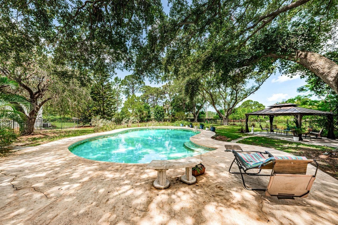 Nice big pool and pool area - 1704 CYPRESS AVE, BELLEAIR