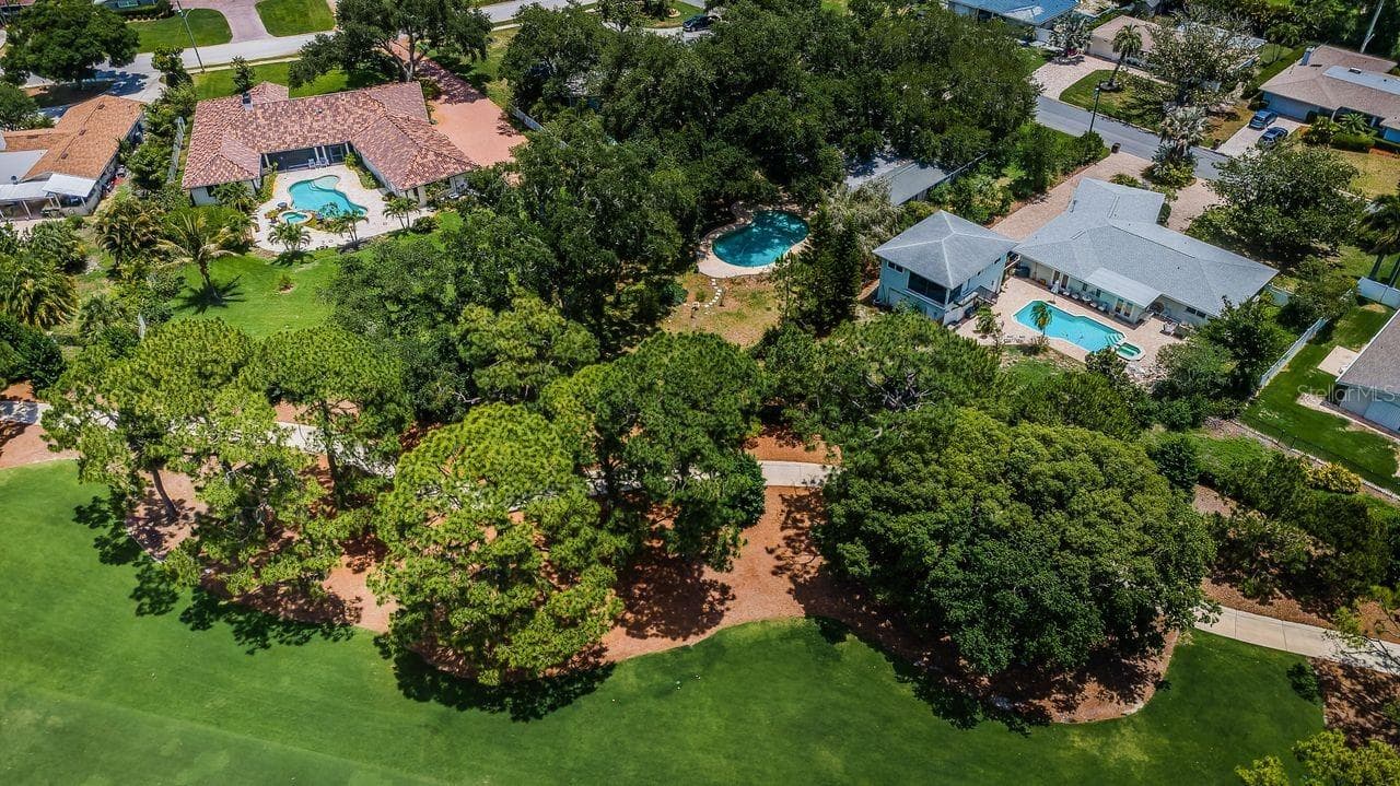 View of backyard and pool - 1704 CYPRESS AVE, BELLEAIR