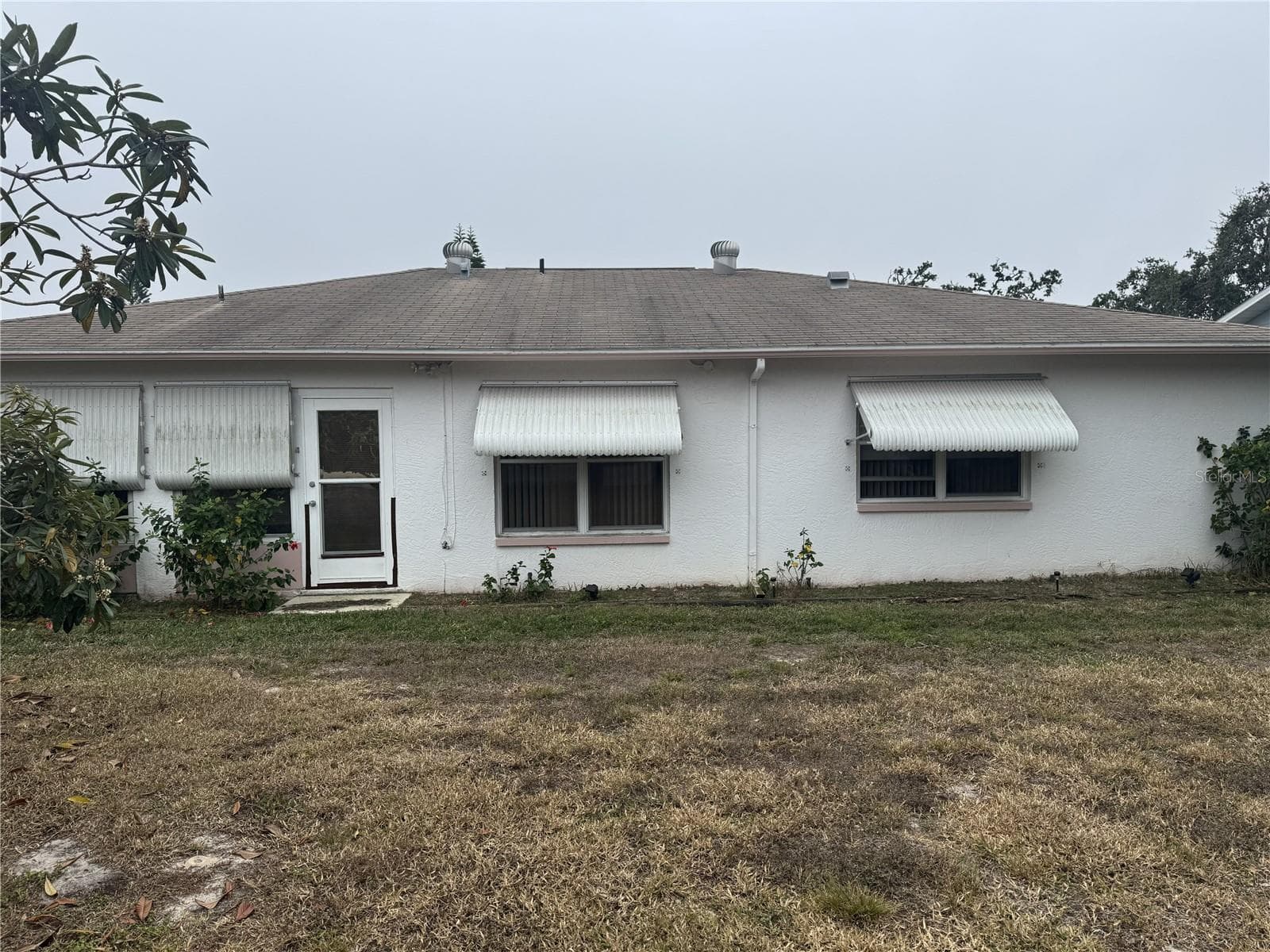 Rear of Home - 11220 ELDERBERRY DR, PORT RICHEY