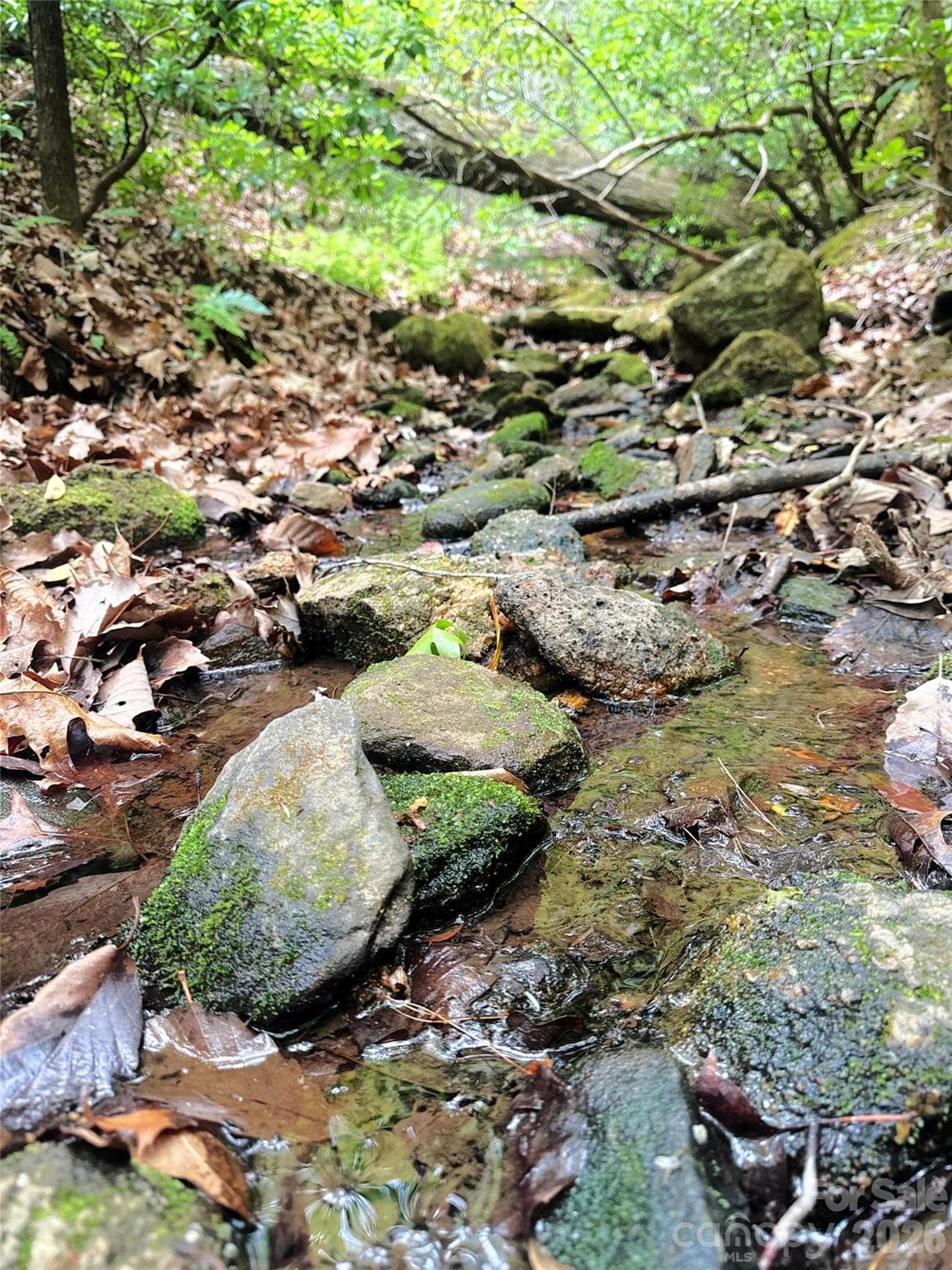 Acreage at Mill Spring, photo 3 of 15