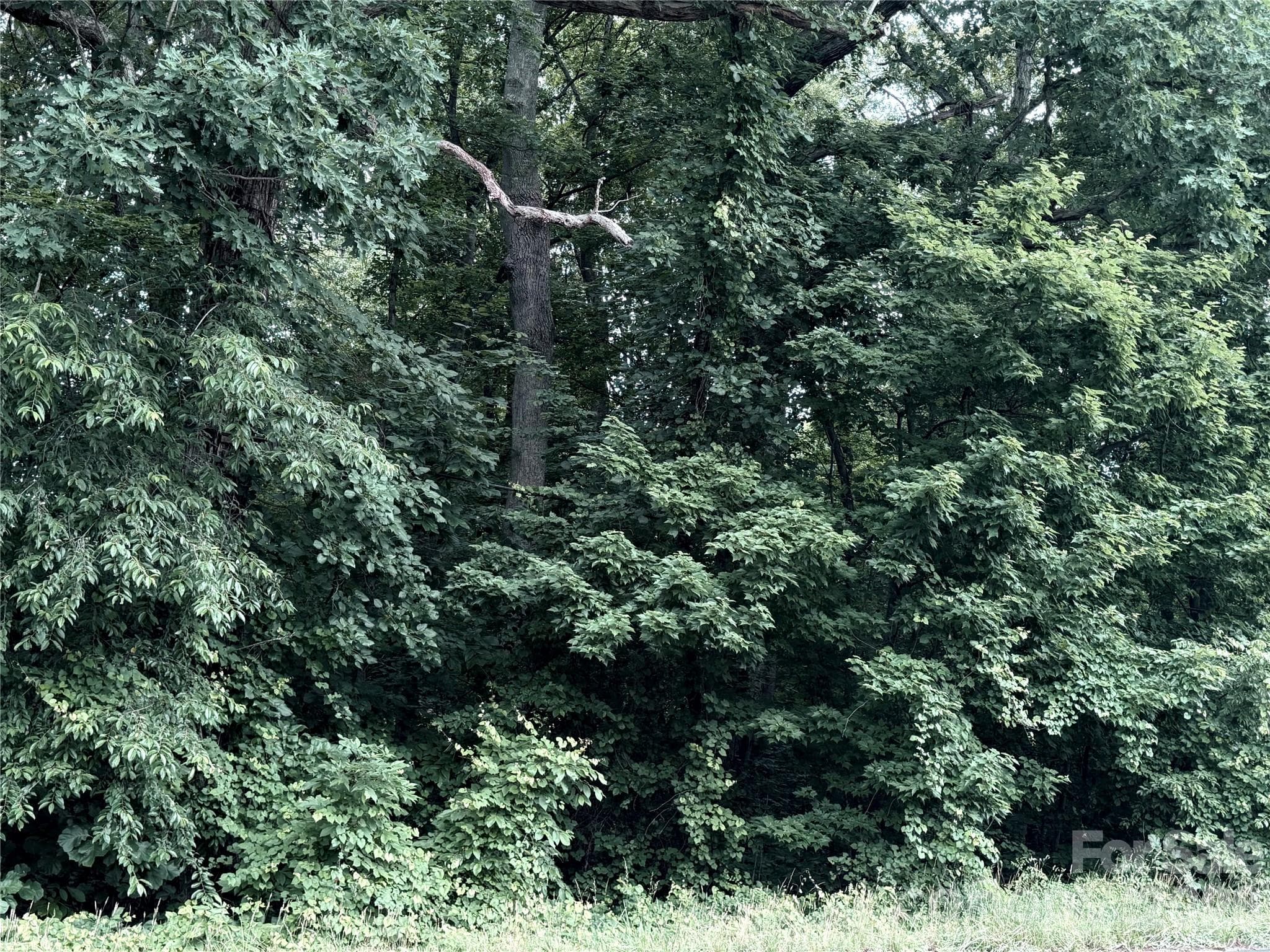 Lot at Statesville, photo 2 of 3