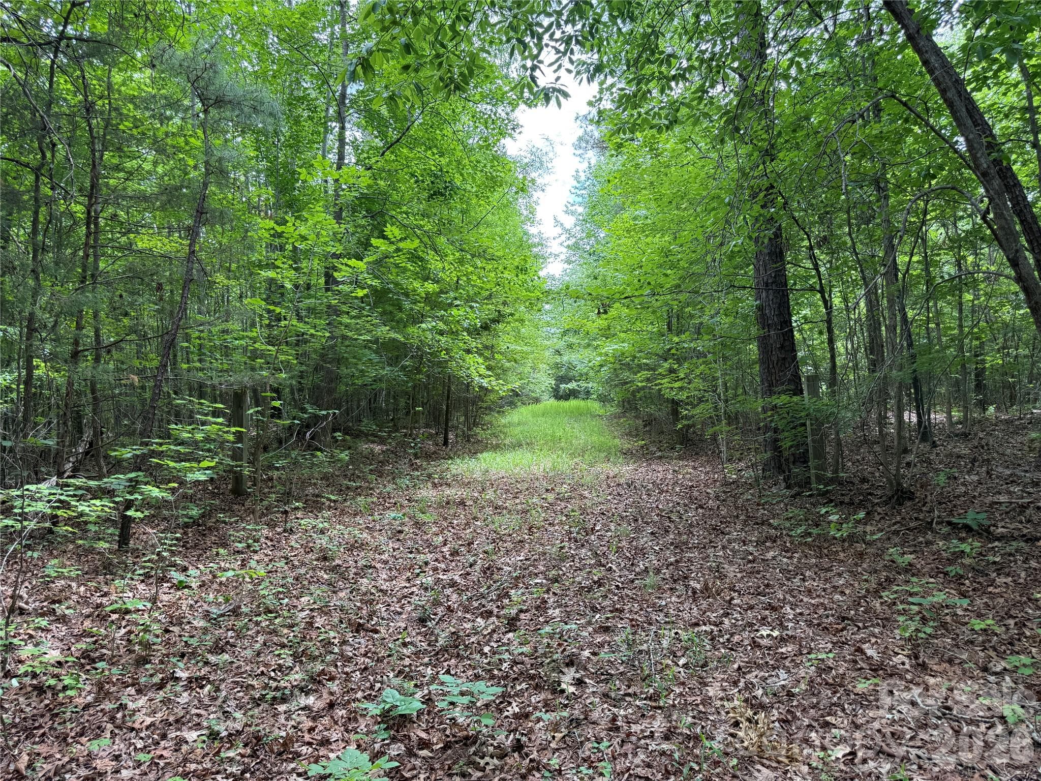 Acreage at 0 Herbert Faucette Road, Bullock, photo 2 of 40
