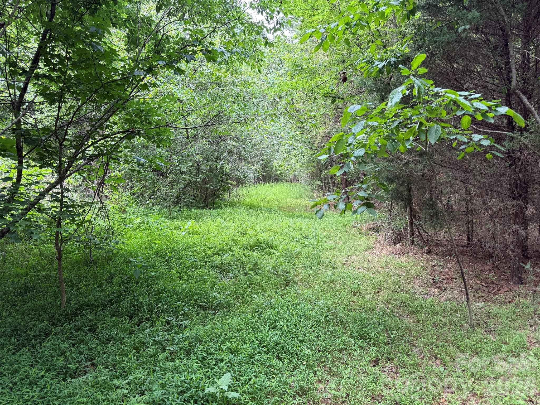 Acreage at 0 Herbert Faucette Road, Bullock, photo 17 of 40
