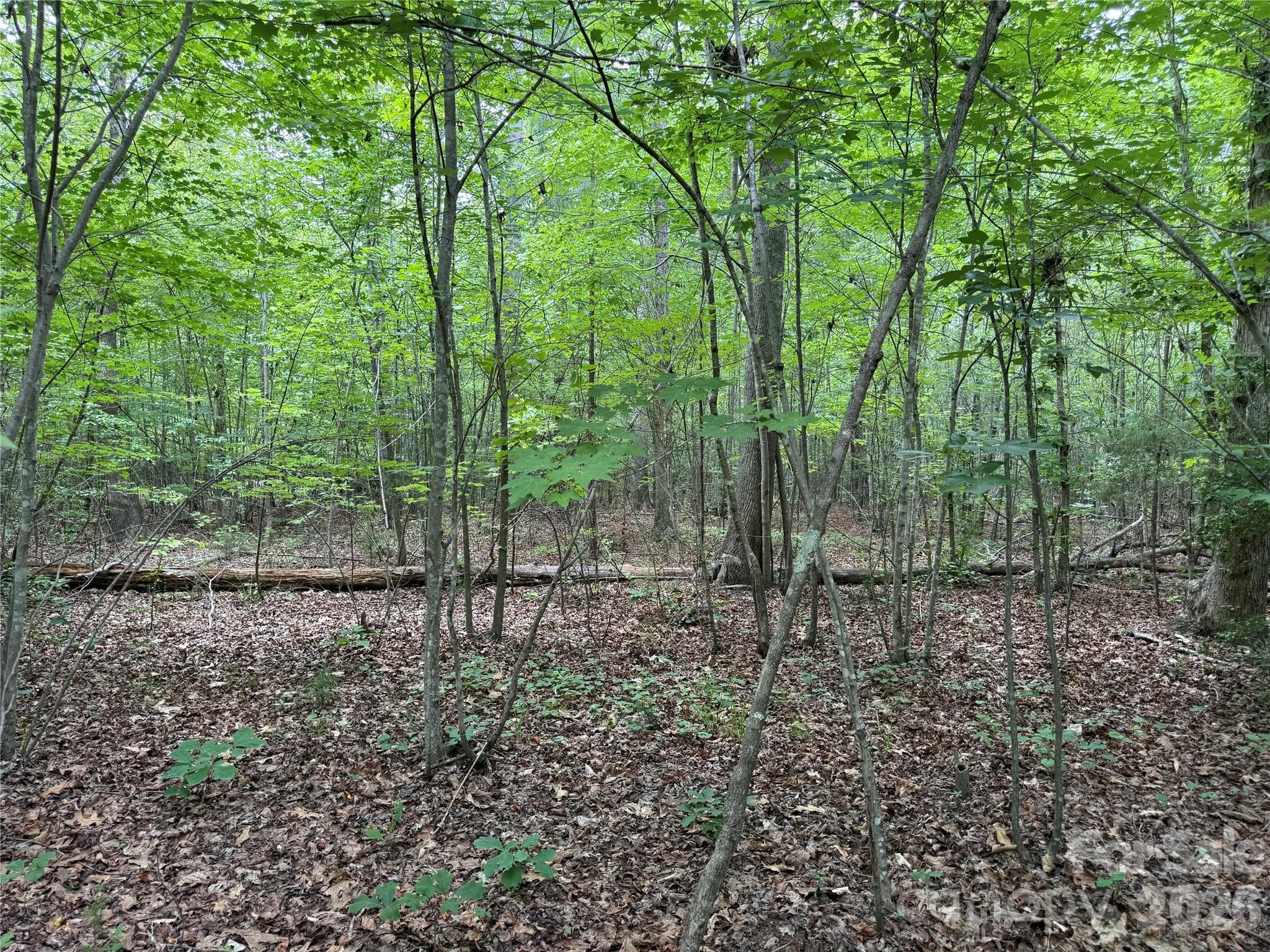 Acreage at 0 Herbert Faucette Road, Bullock, photo 18 of 40