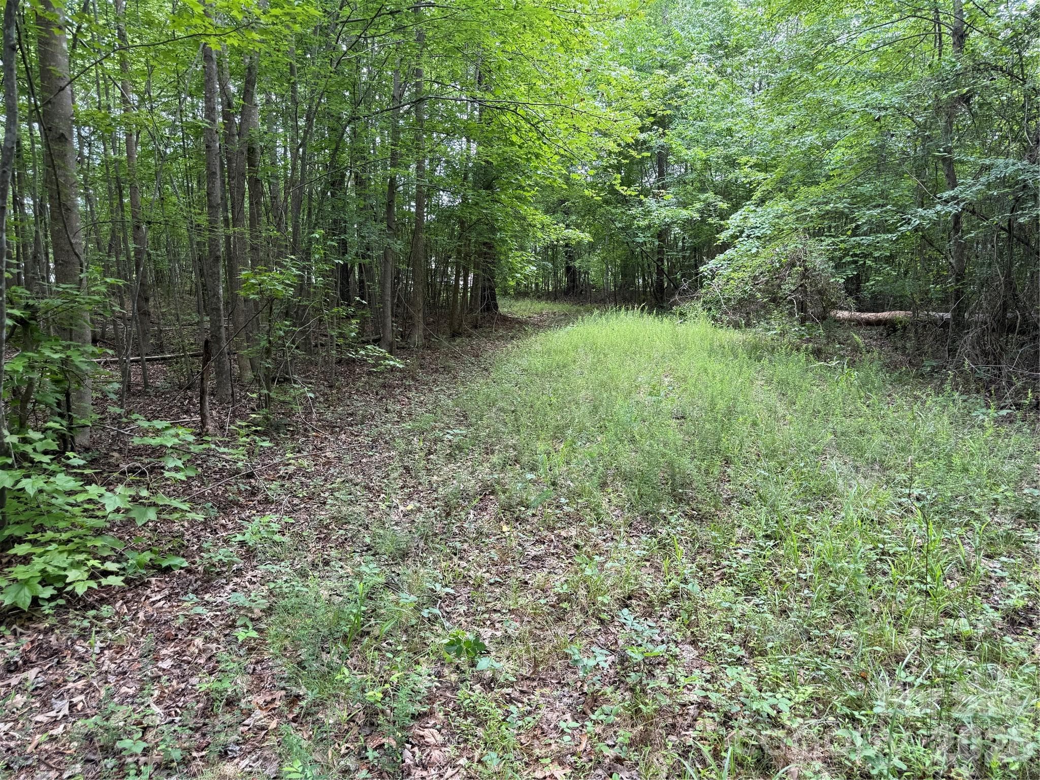 Acreage at 0 Herbert Faucette Road, Bullock, photo 19 of 40