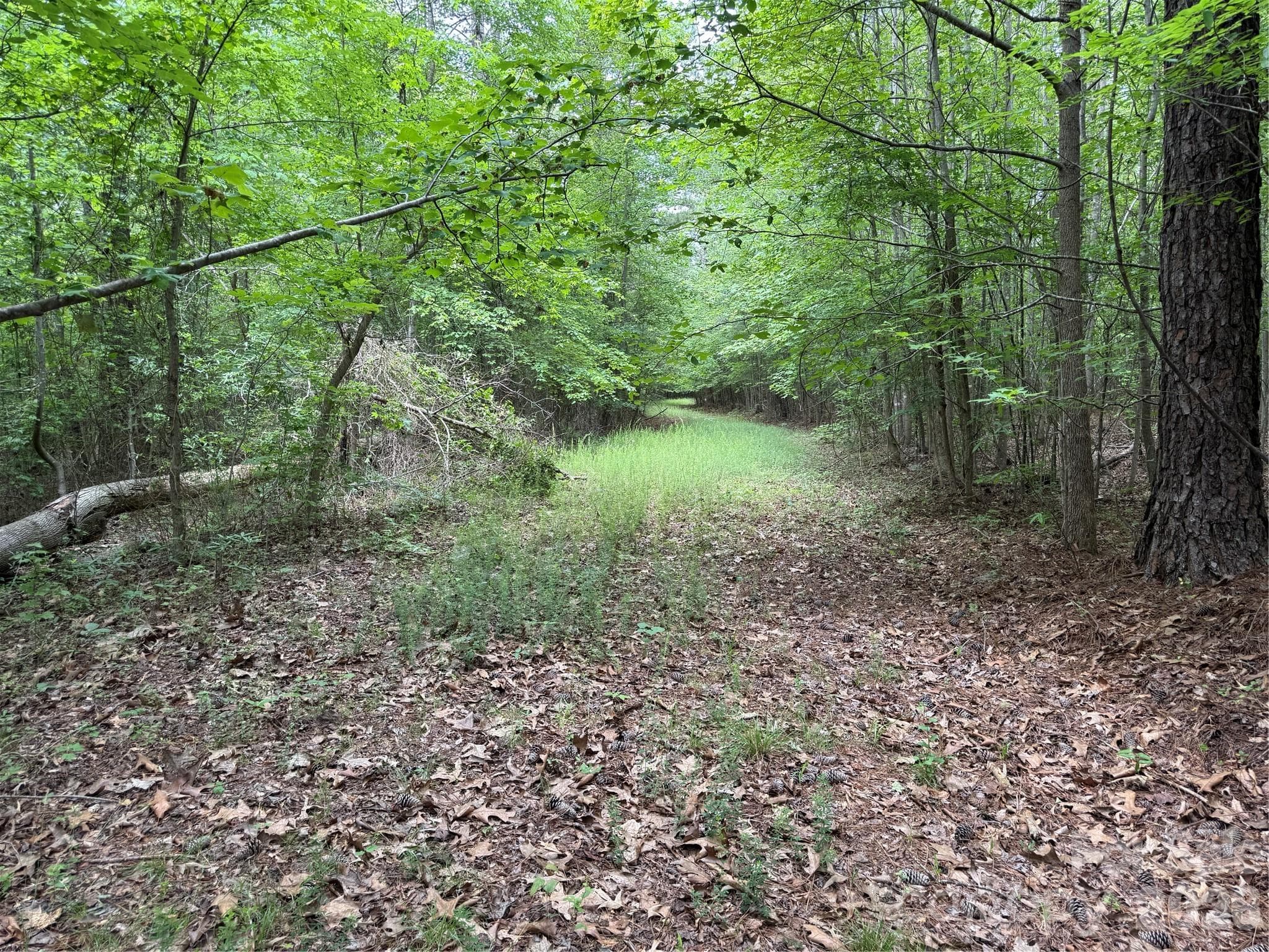 Acreage at 0 Herbert Faucette Road, Bullock, photo 27 of 40