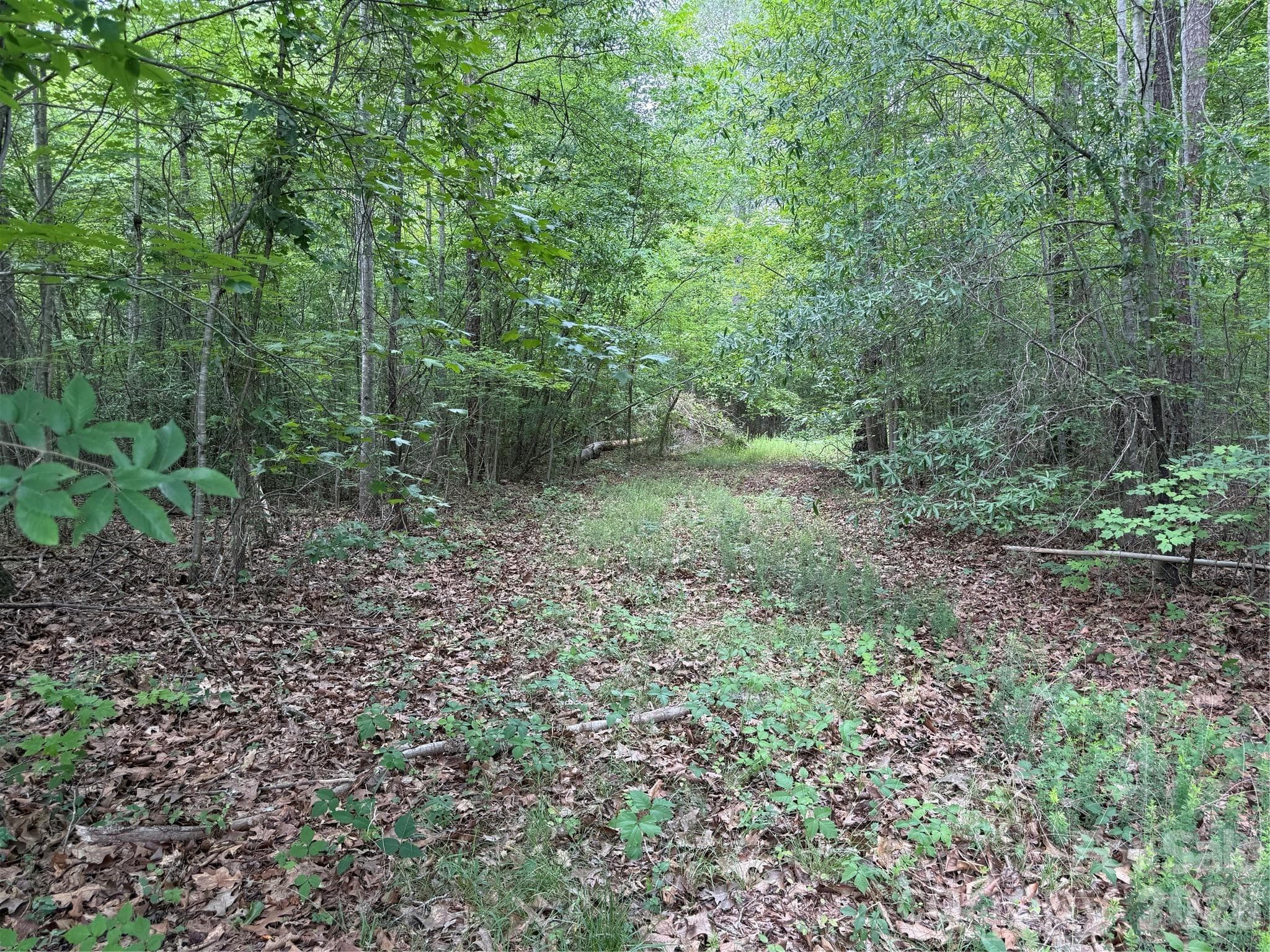Acreage at 0 Herbert Faucette Road, Bullock, photo 28 of 40