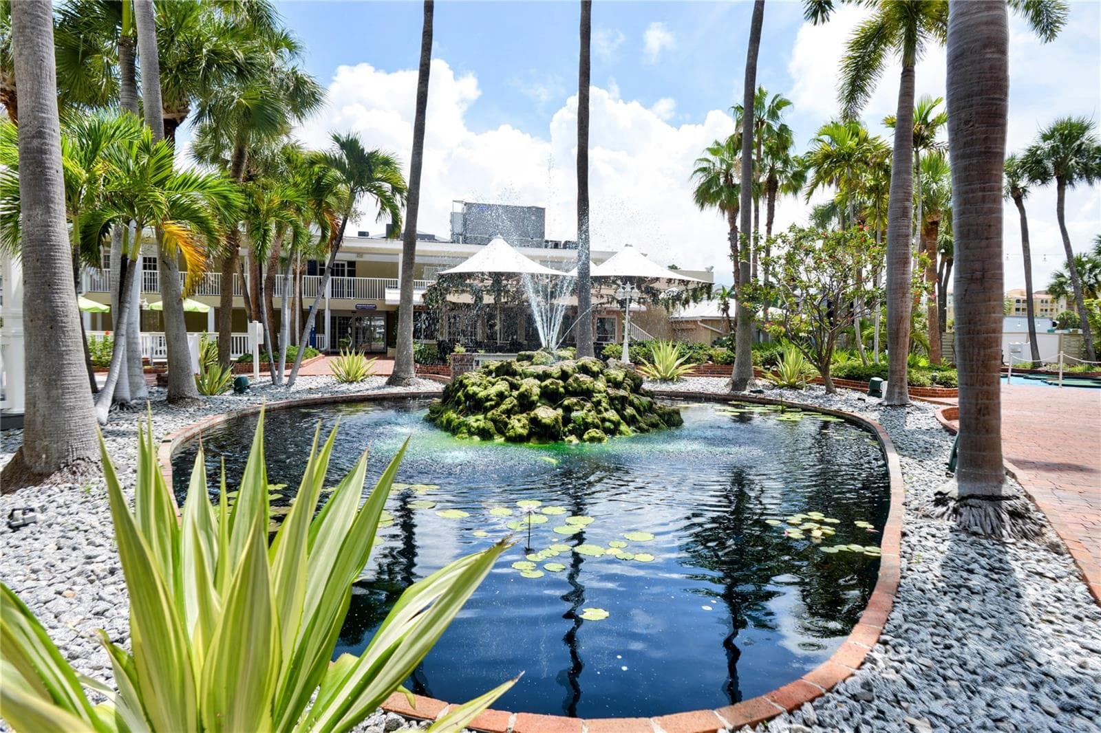 Tropical grounds & activities abound - 5500 GULF BLVD #6241, ST PETE BEACH