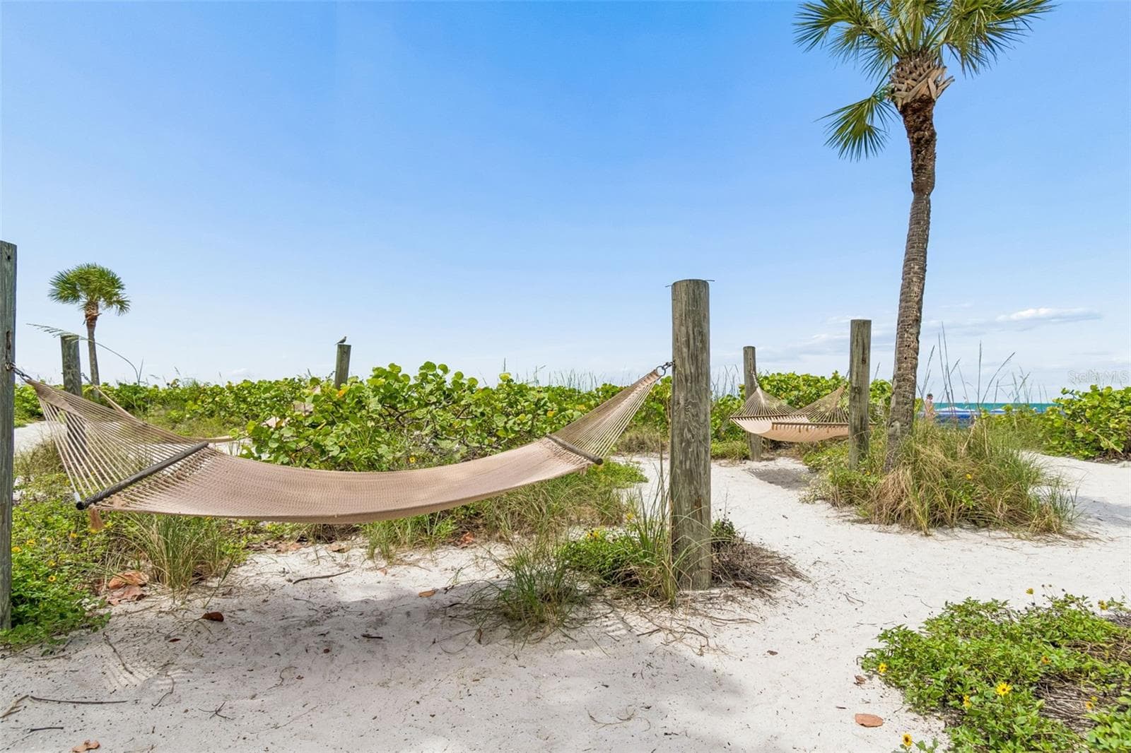 Hammocks on the beach - 5500 GULF BLVD #6241, ST PETE BEACH