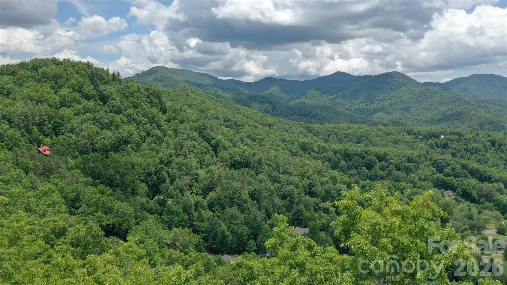 Tree top drone shot - Sylva