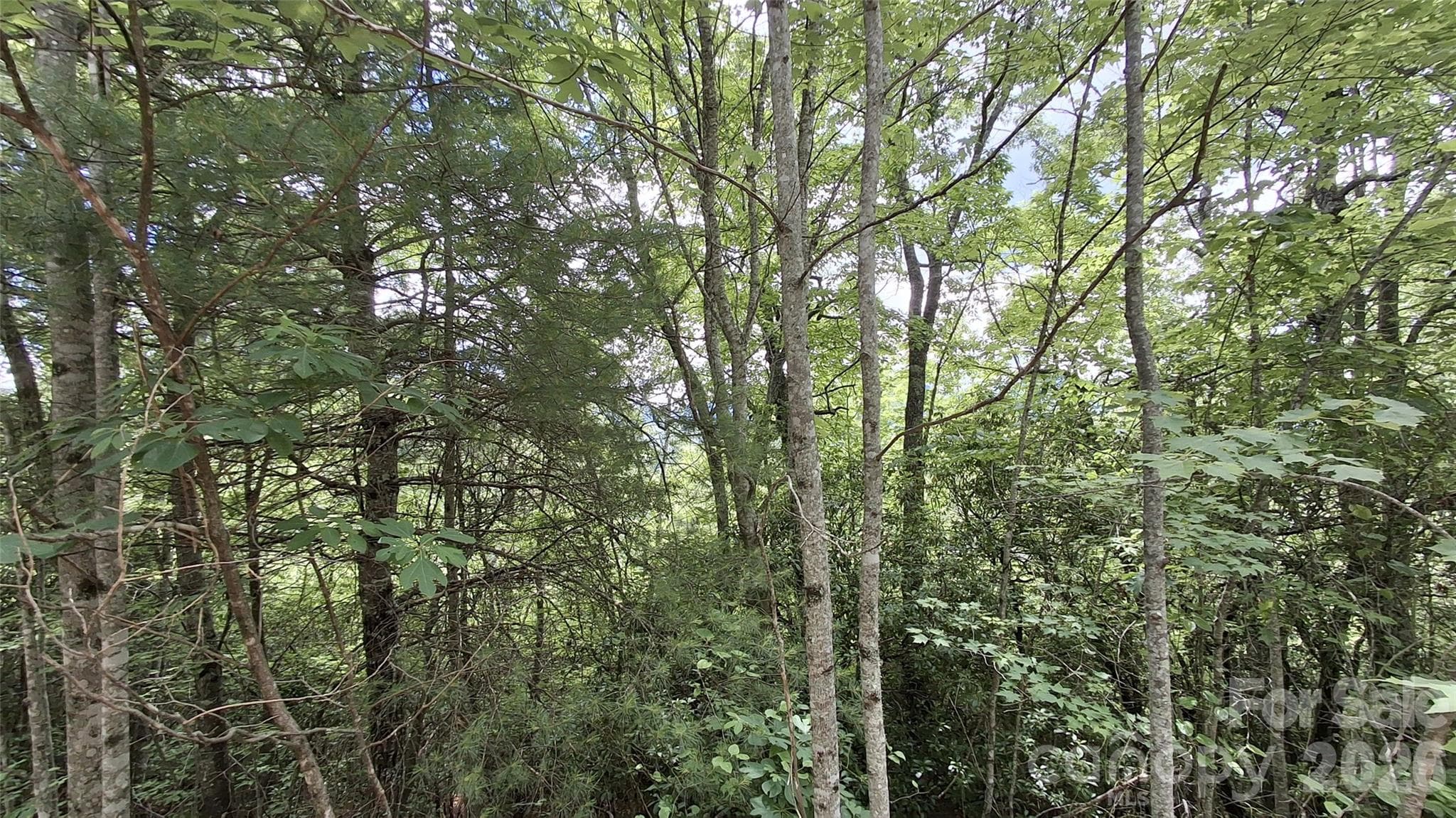 Lot at Sylva, photo 6 of 12