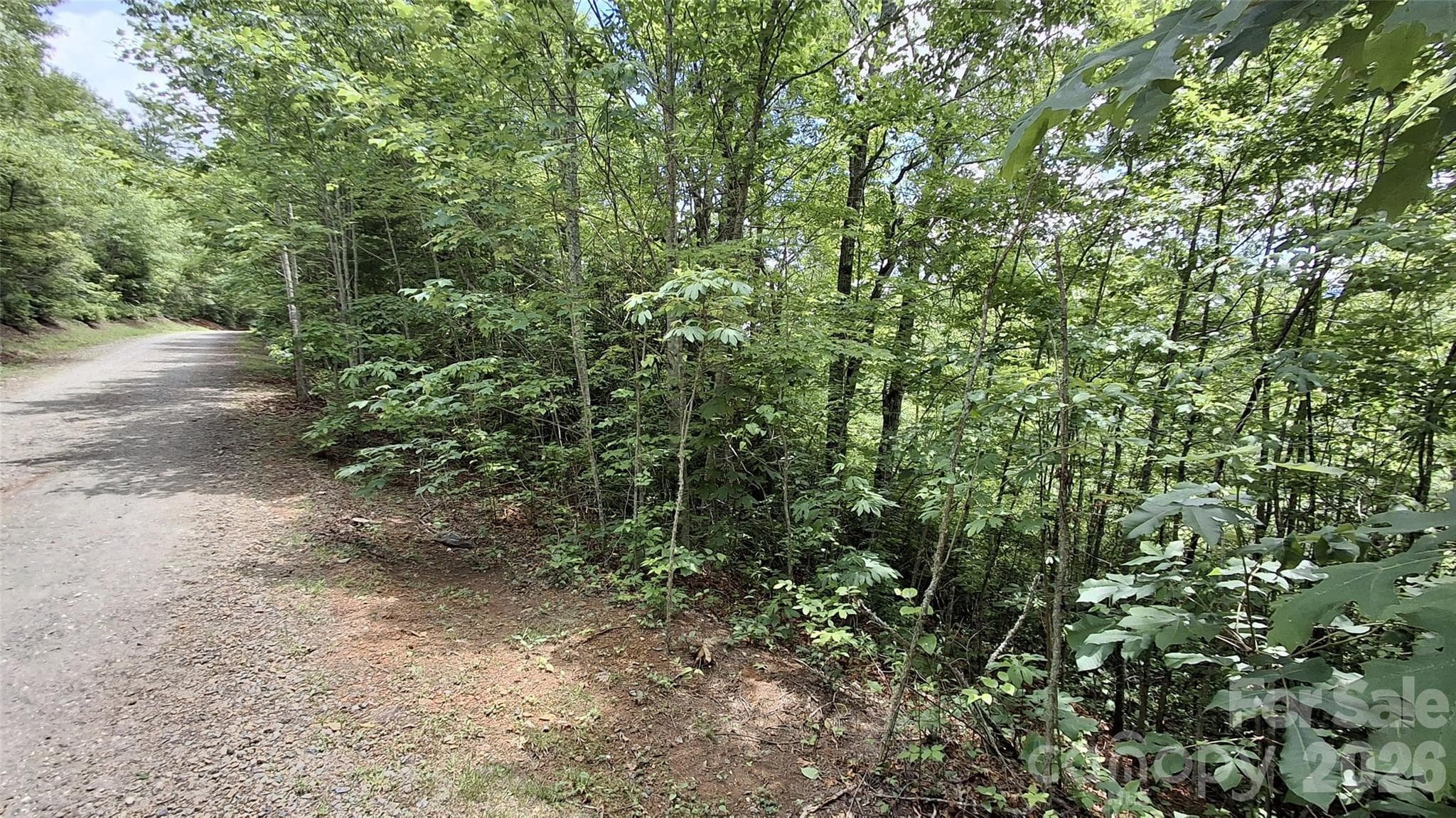 Lot at Sylva, photo 10 of 12
