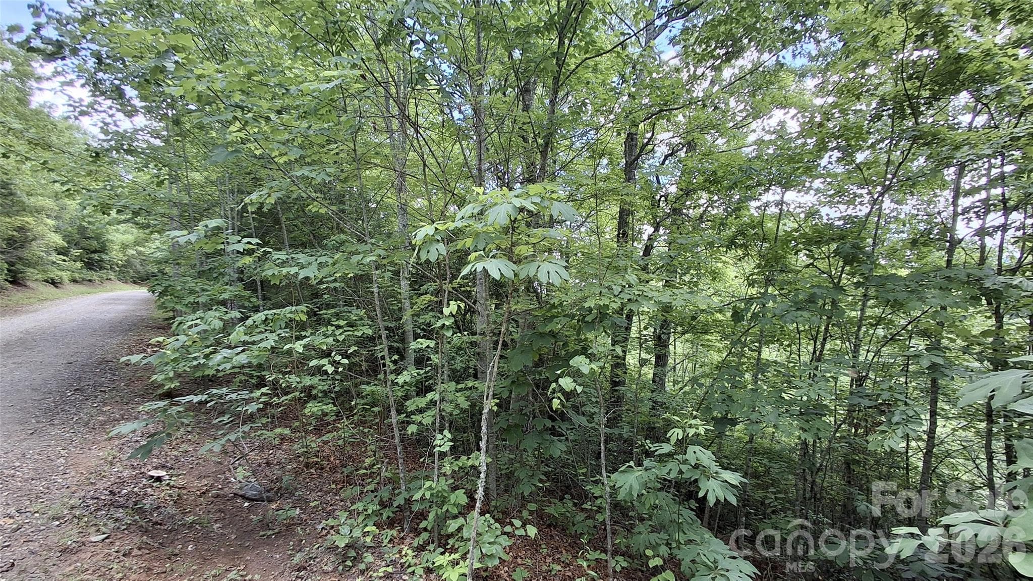 Lot at Sylva, photo 12 of 12