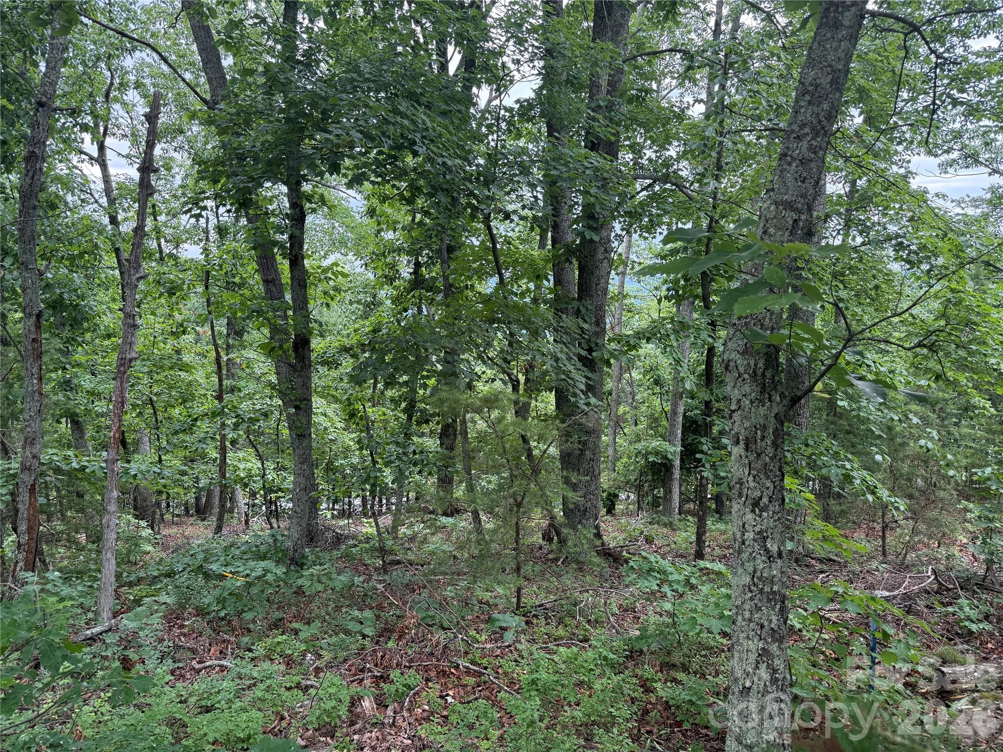 Lot at 0 Arbra Mountain Way, Bostic, photo 3 of 11