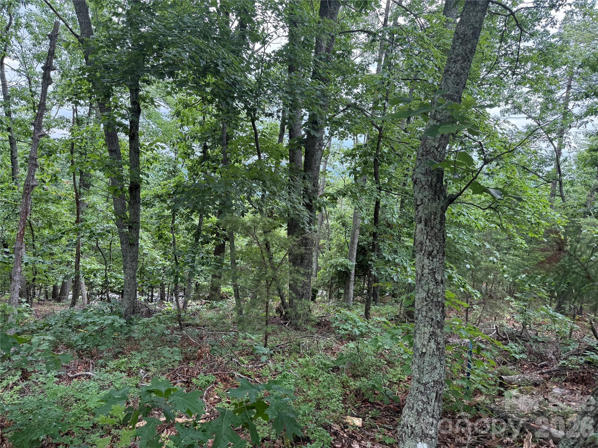 Lot at 0 Arbra Mountain Way, Bostic, photo 4 of 11