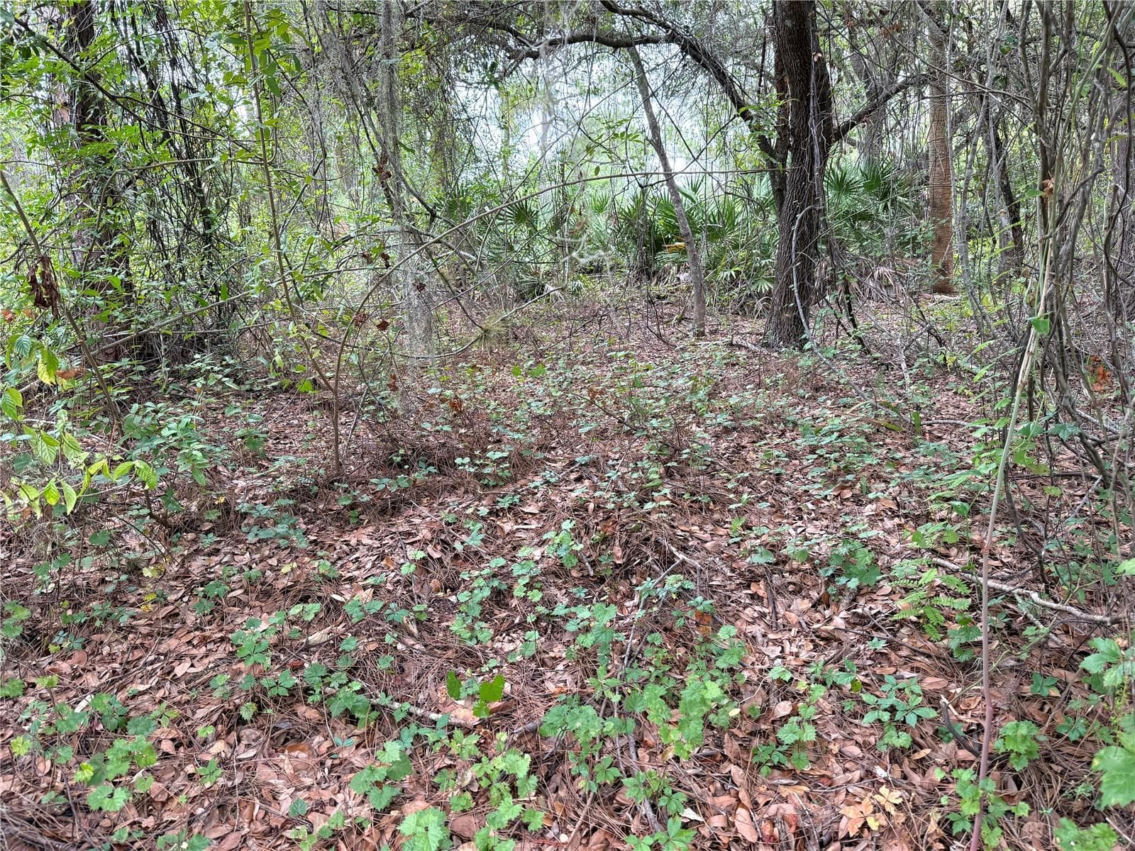 Land at 368 NESTLE AVE, LEHIGH ACRES, photo 4 of 7