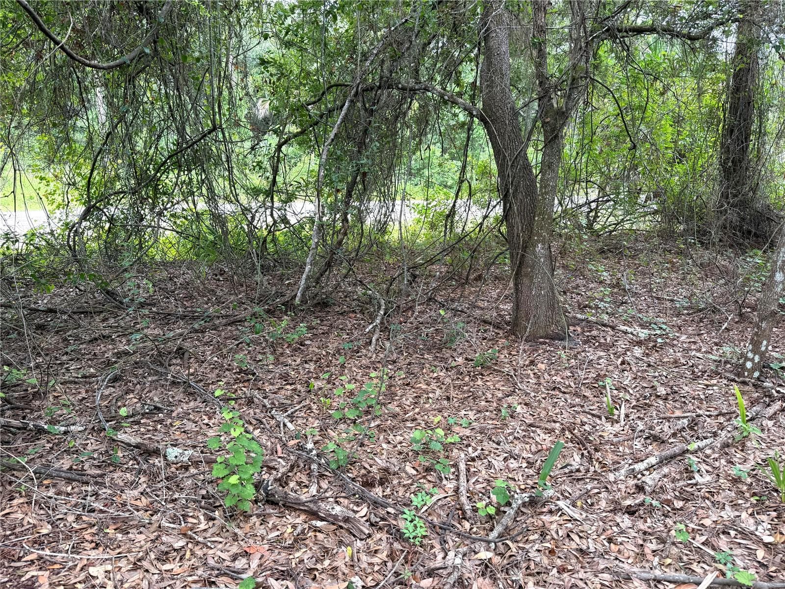 Land at 368 NESTLE AVE, LEHIGH ACRES, photo 6 of 7