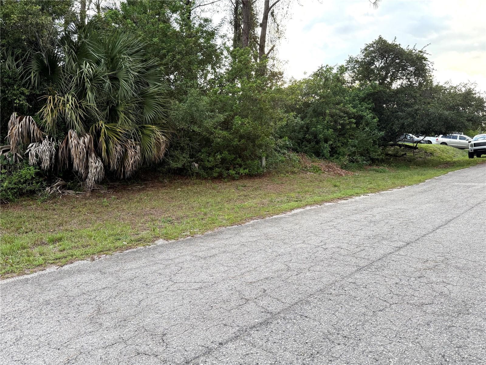 Land at 8010 MEMORY CIR, LABELLE, photo 5 of 6