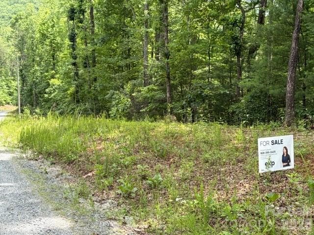 front of property - Lake Lure