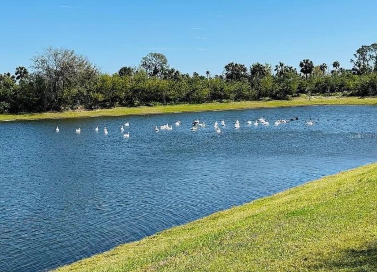 Single Family Residence at 6272 BUCKET CT, GIBSONTON, photo 27 of 30