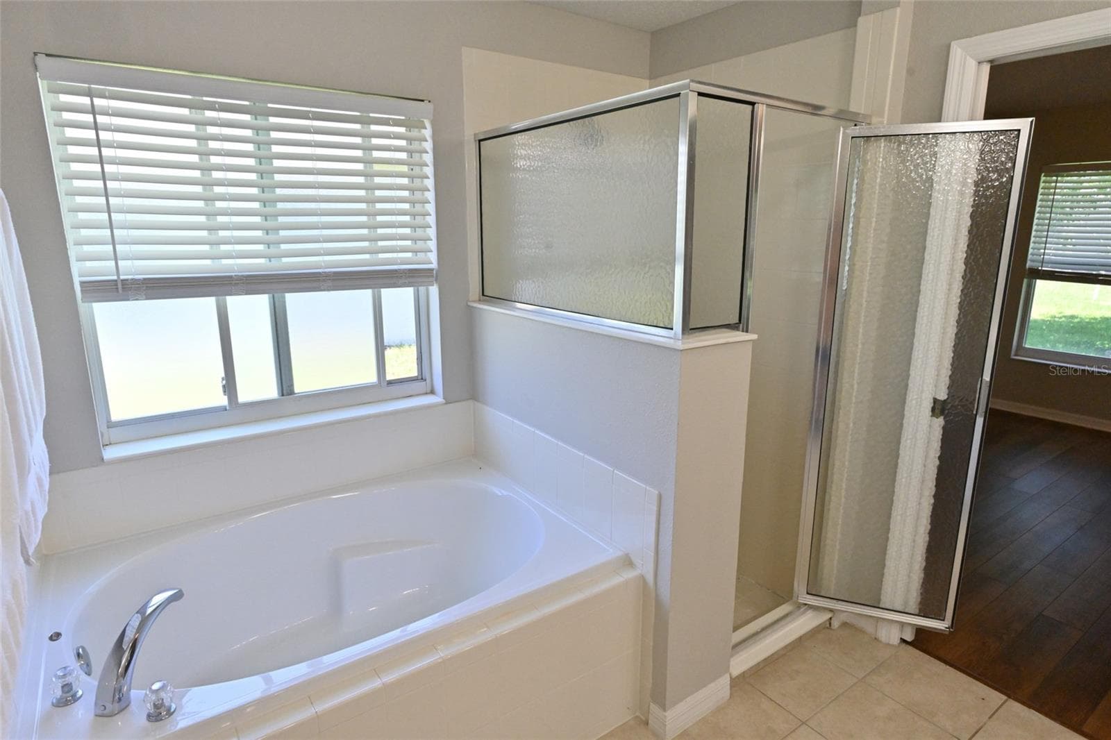 Master bath. - 27326 ORCHID GLADE ST, LEESBURG