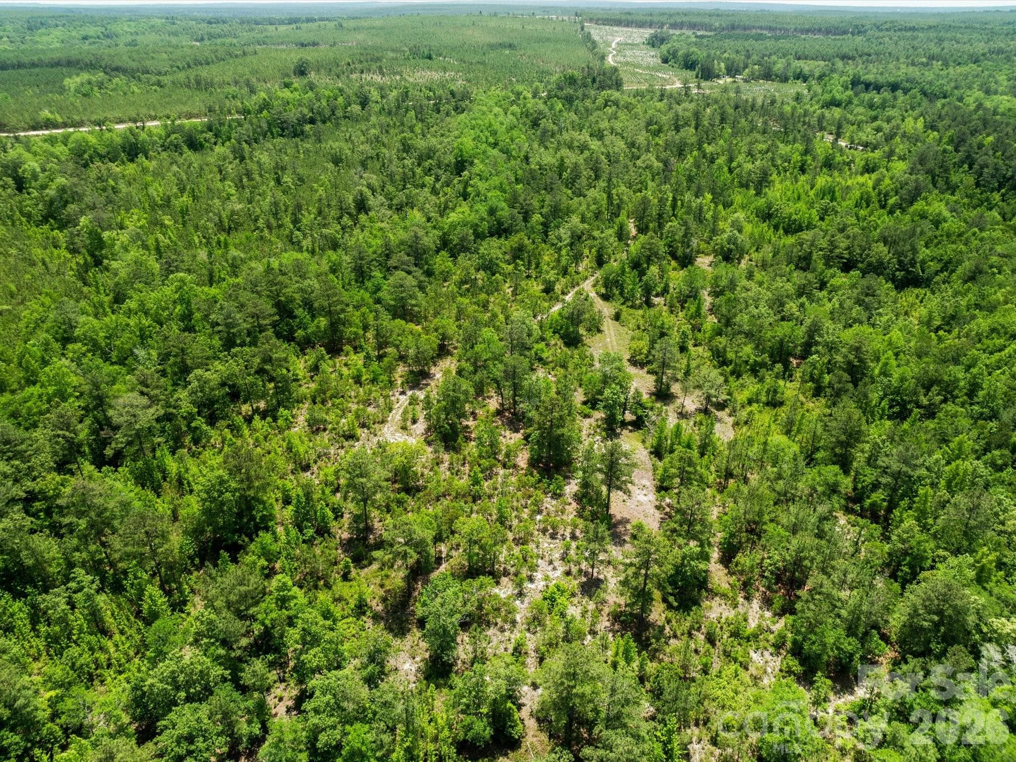 Acreage at 1299 Crowley Road, Patrick, photo 6 of 6