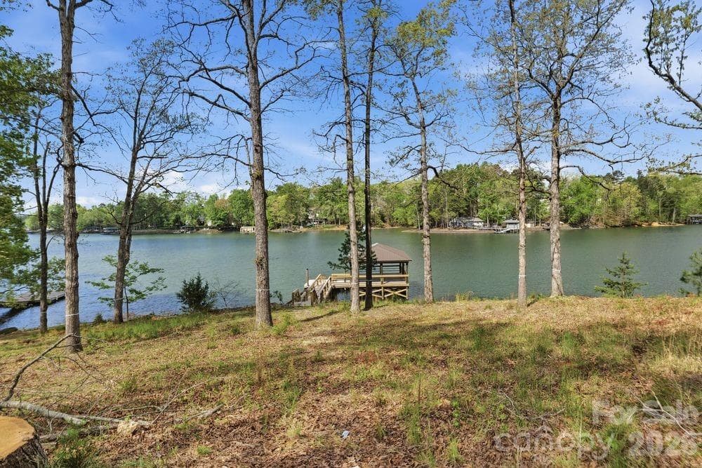 The Coves on Lake Wylie Community - Charlotte
