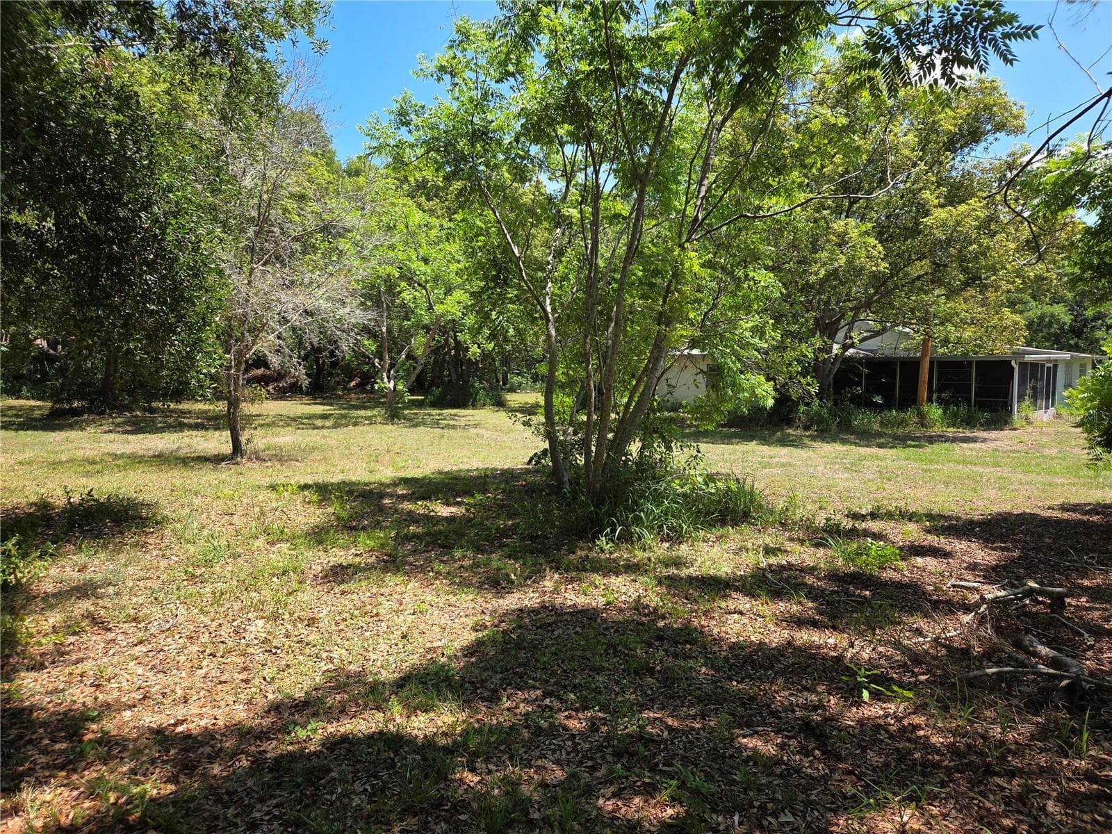 Single Family Residence at 3810 E LUMSDEN RD, VALRICO, photo 2 of 4