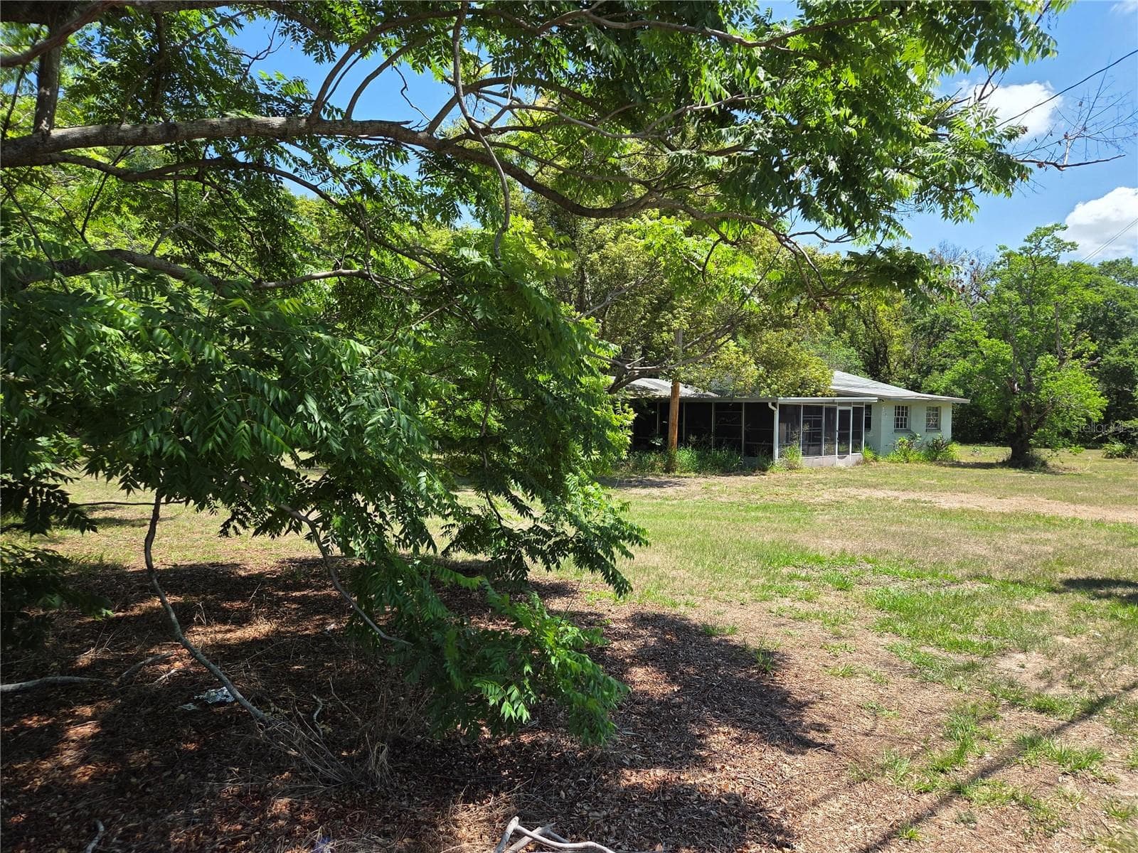 Single Family Residence at 3810 E LUMSDEN RD, VALRICO, photo 4 of 4