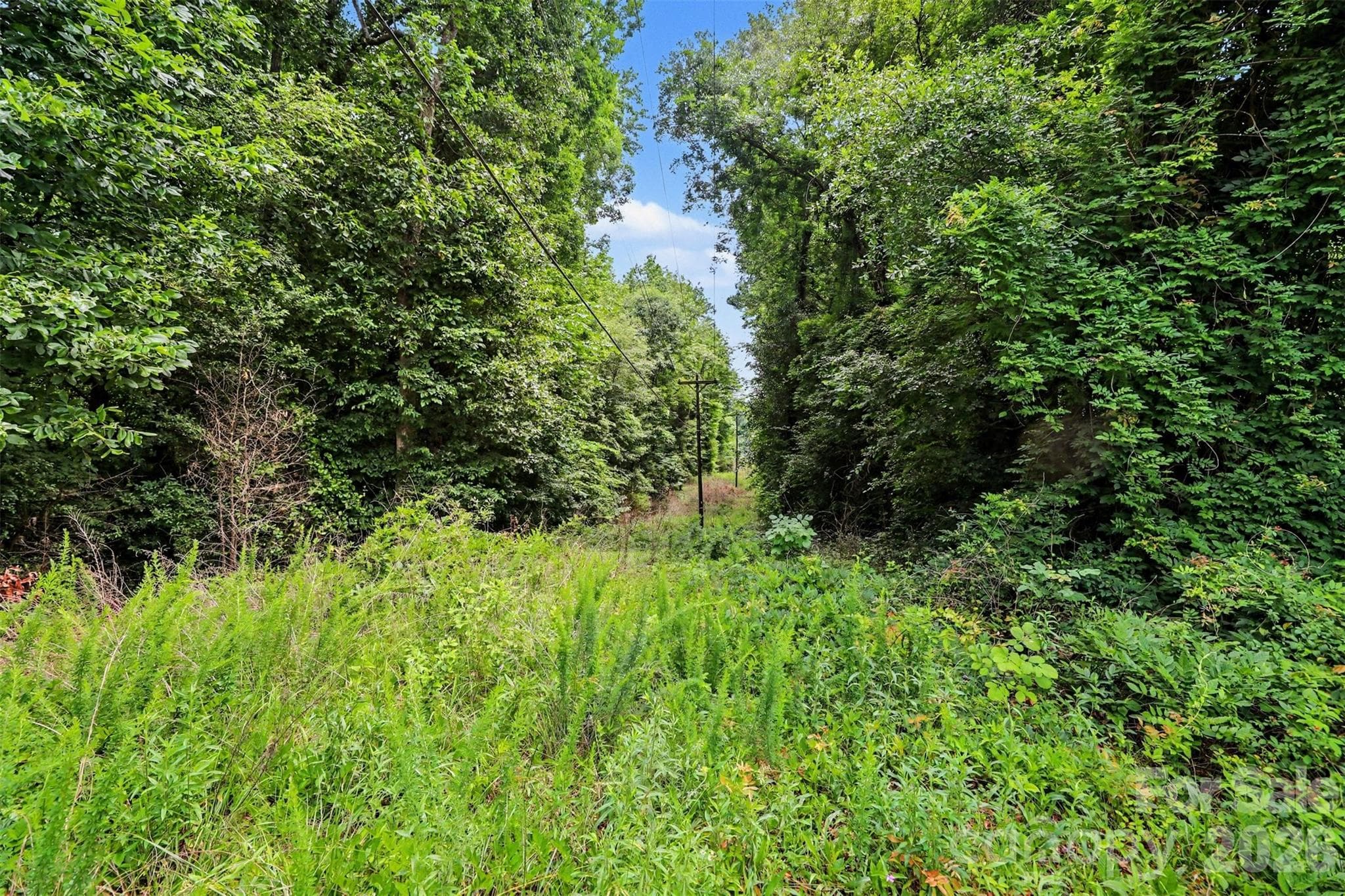 Lot at 9300 Lawing School Road, Charlotte, photo 4 of 47