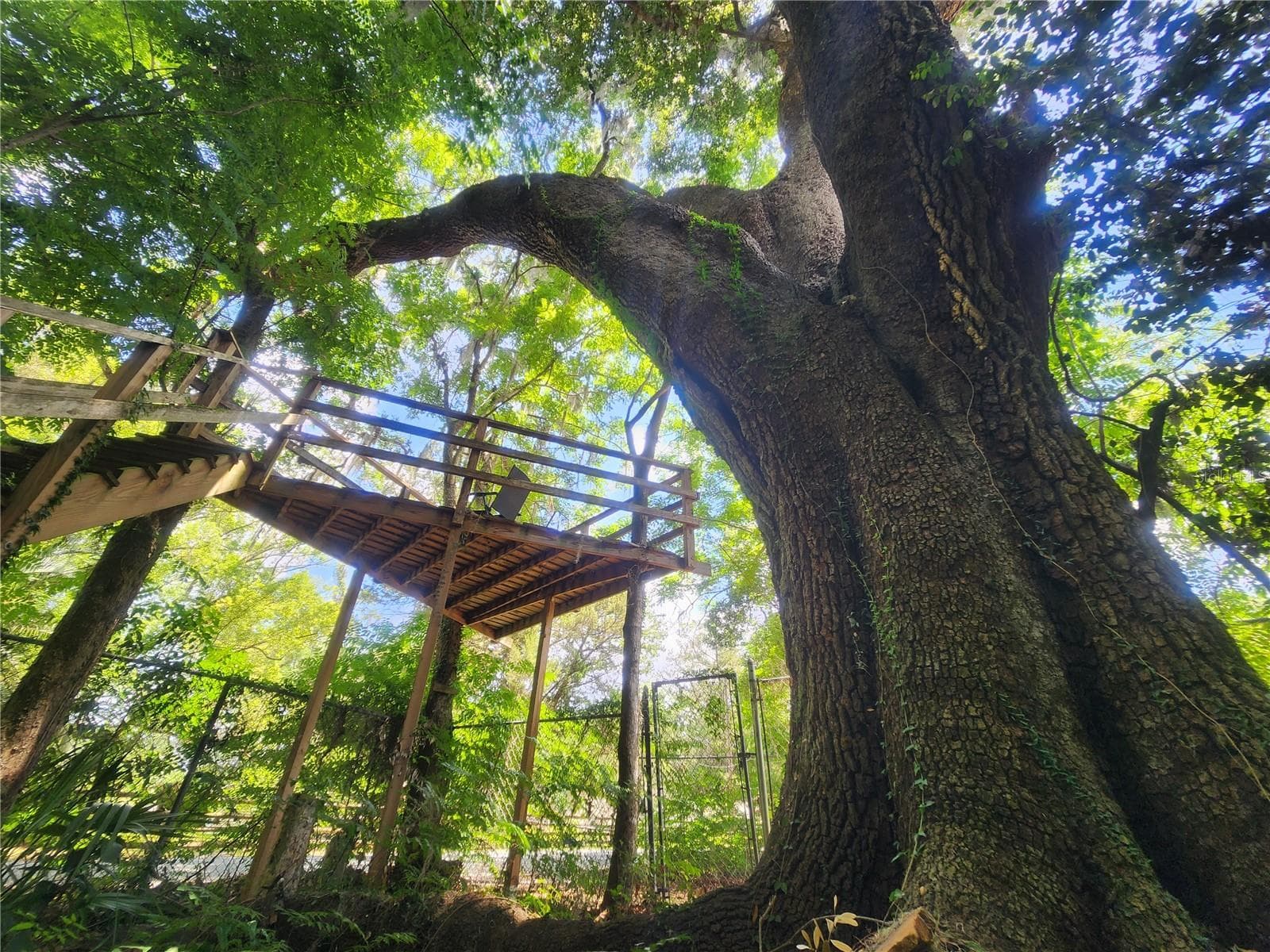 Tree House - 1985 NE 97TH STREED RD, ANTHONY