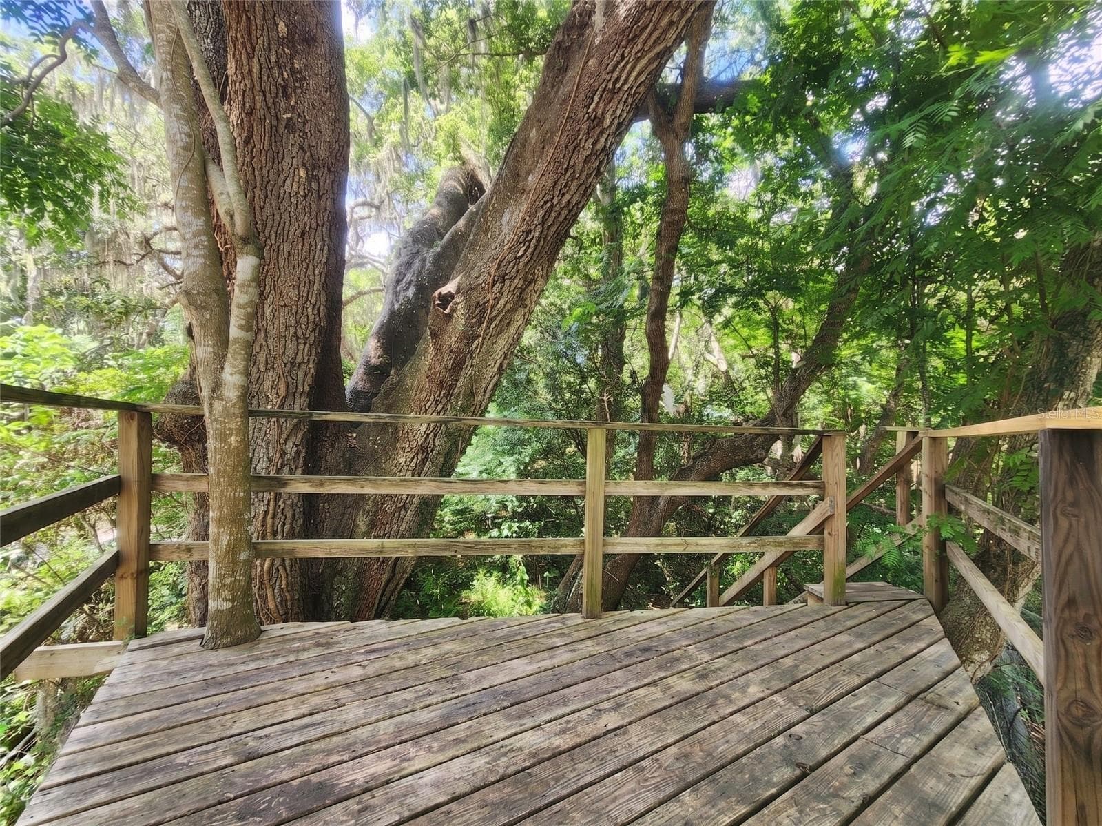 Tree House - 1985 NE 97TH STREED RD, ANTHONY