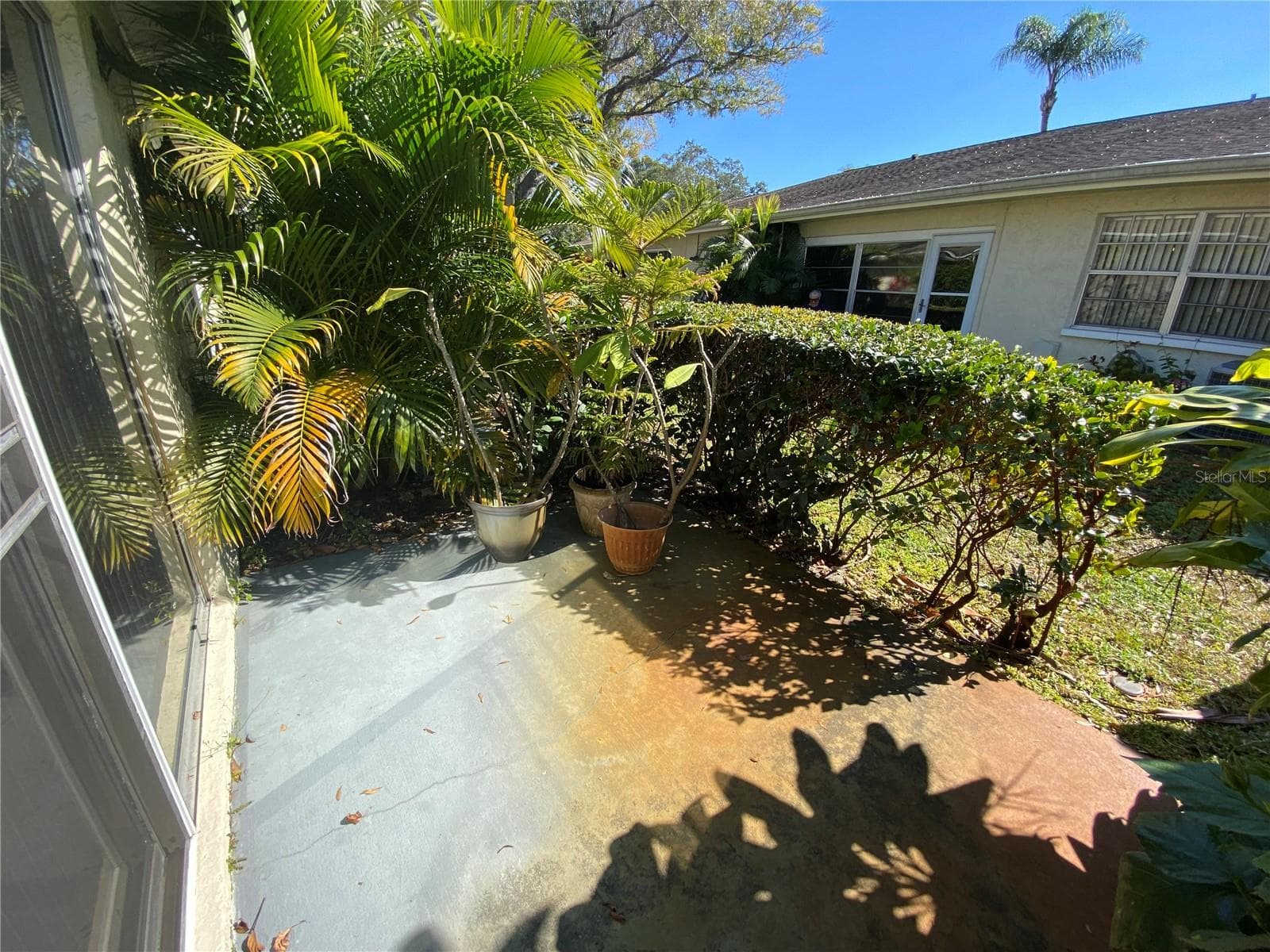 Patio off the Florida room - 1059 DUNROBIN DR #B, PALM HARBOR