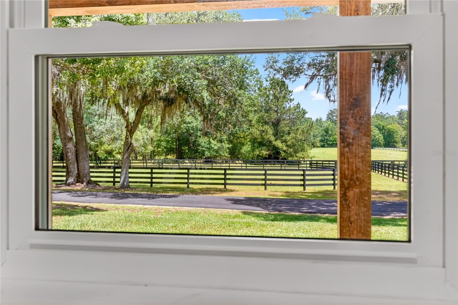 View from the living room - 6450 NW HIGHWAY 225, OCALA