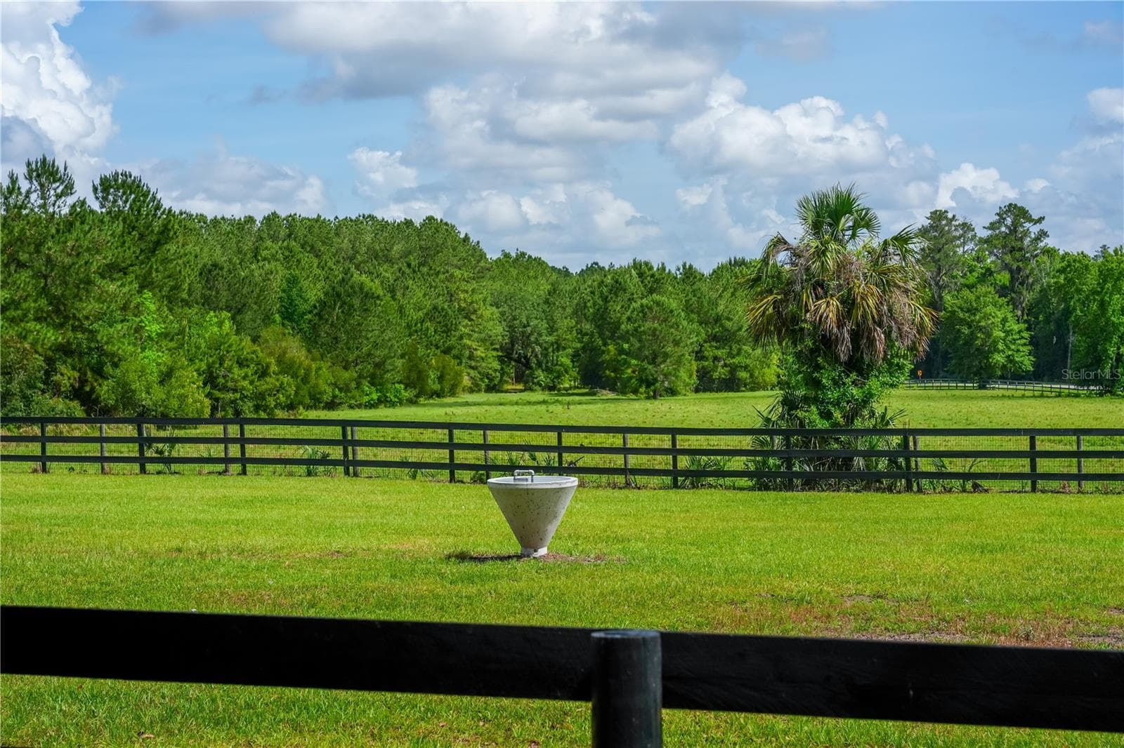 Waterer in every paddock - 6450 NW HIGHWAY 225, OCALA