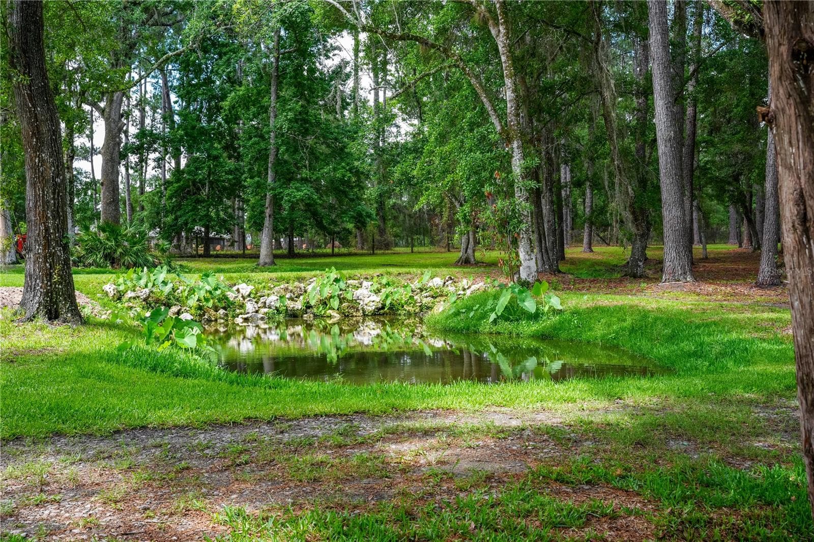 Natural pond w/ Aeretor - 6450 NW HIGHWAY 225, OCALA