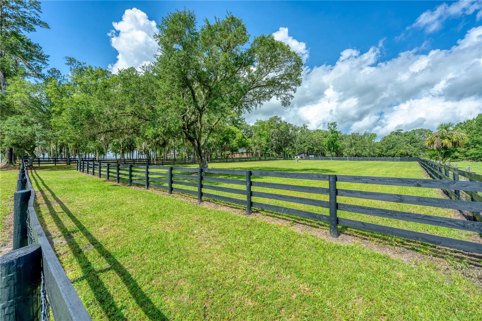 No climb fences all around the property - 6450 NW HIGHWAY 225, OCALA